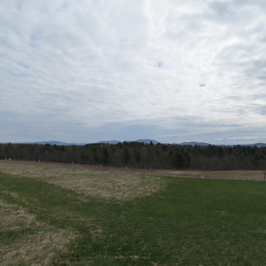 Saratoga National Historic Site Battlefield near Stillwater NY 32 of59 (#6457)