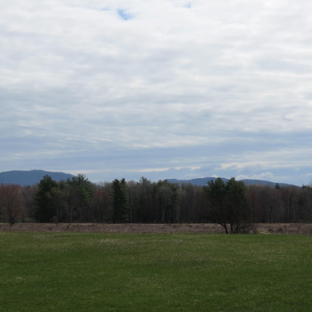 Saratoga National Historic Site Battlefield near Stillwater NY 38 of59 (#6463)