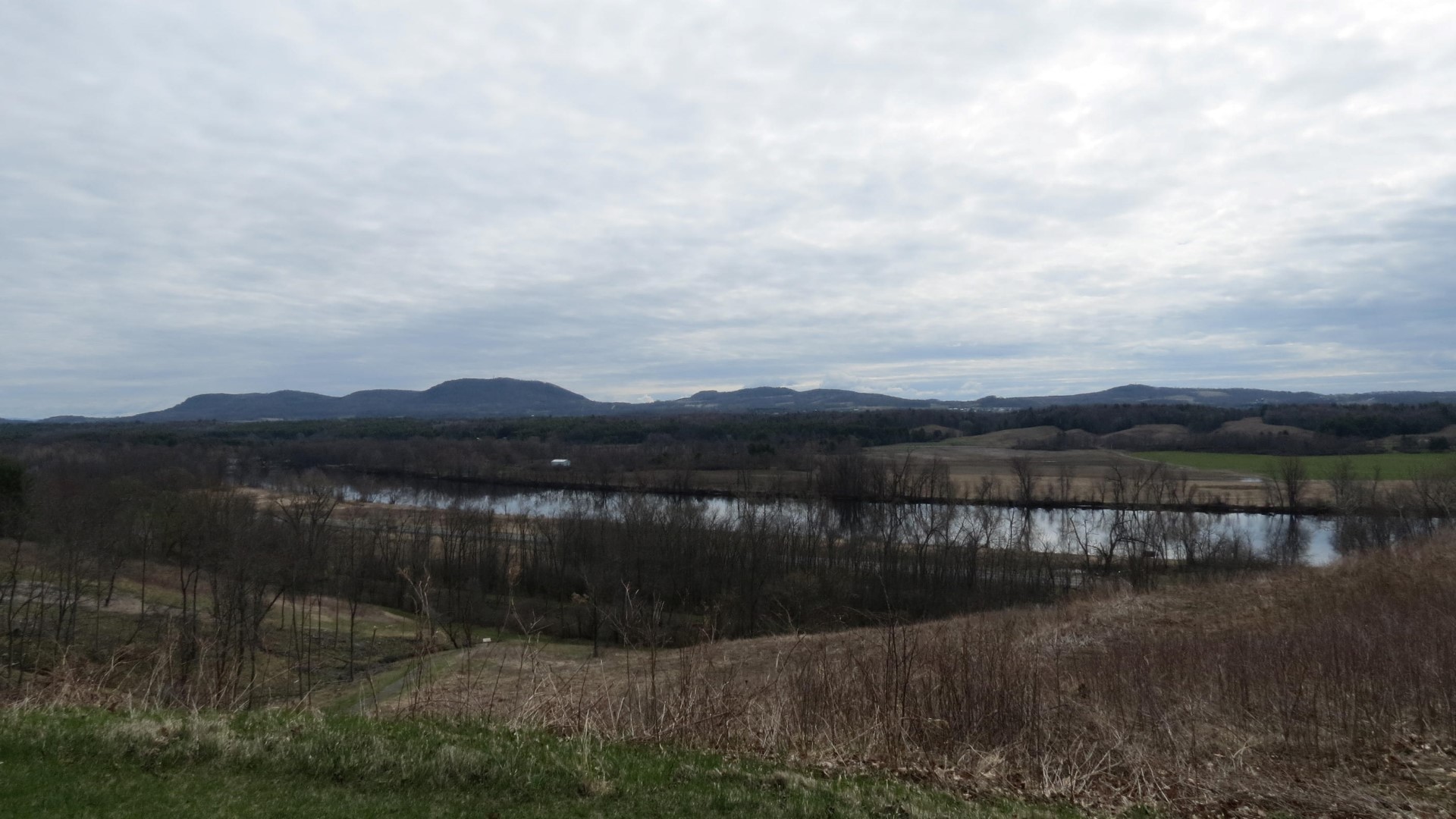 Saratoga National Historic Site Battlefield near Stillwater NY 50 of59 (#6476)