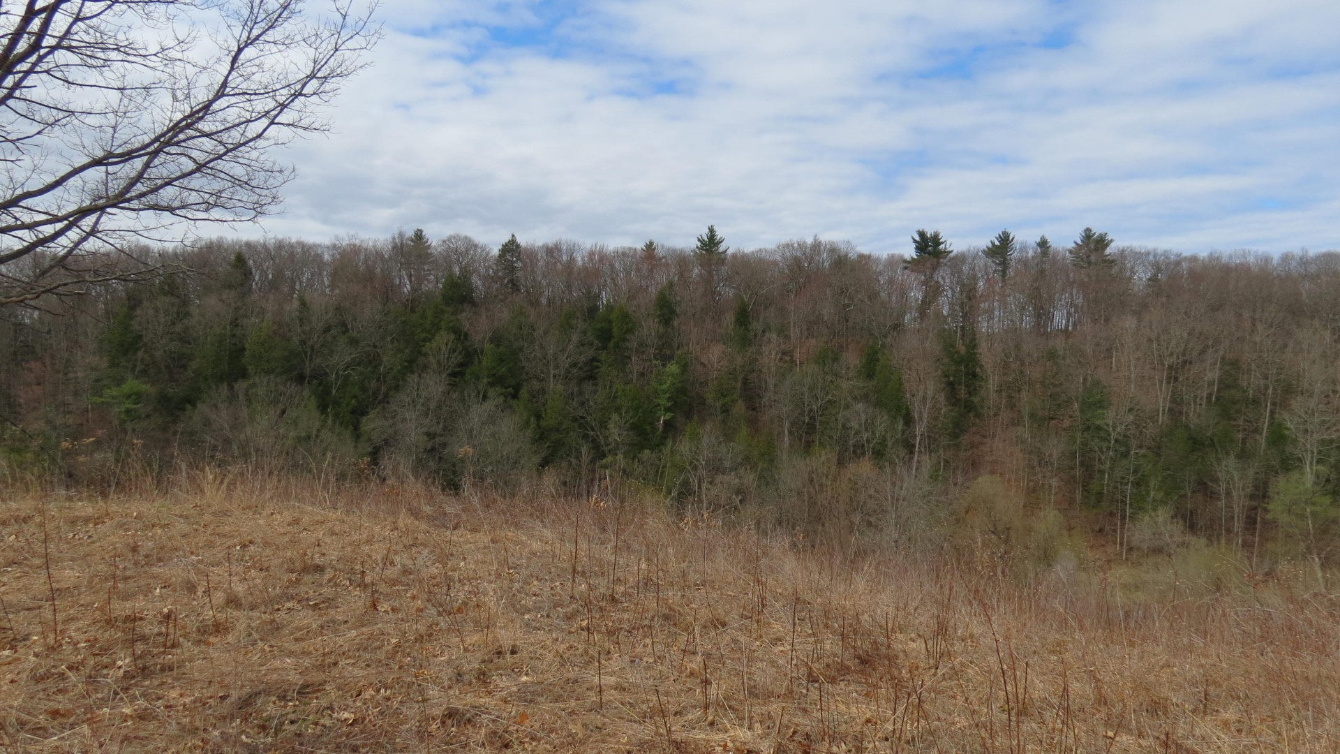 Saratoga National Historic Site Battlefield near Stillwater NY 53 of59 (#6479)