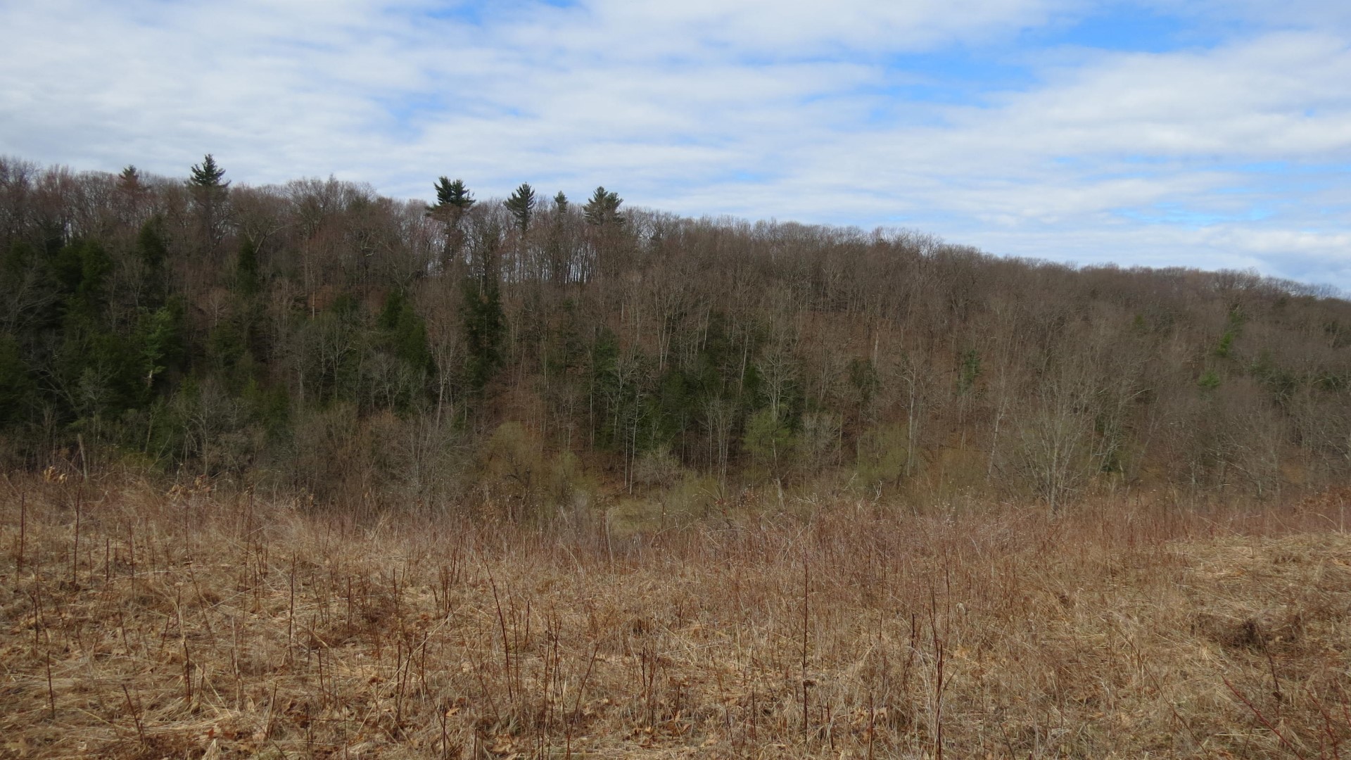 Saratoga National Historic Site Battlefield near Stillwater NY 54 of59 (#6480)