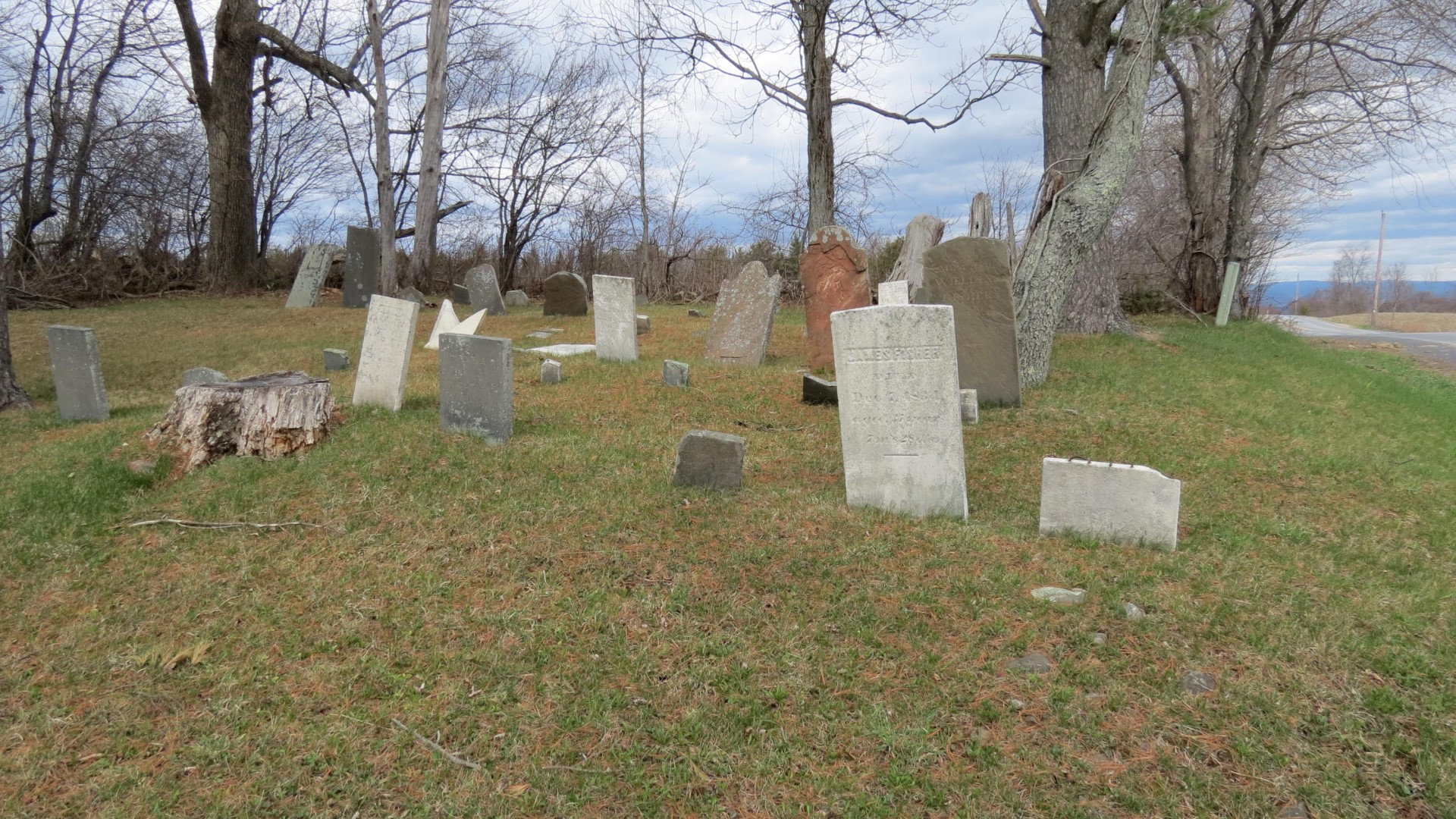 Sarles Cemetery in Hannacroix NY   1 of 8 (#6508)