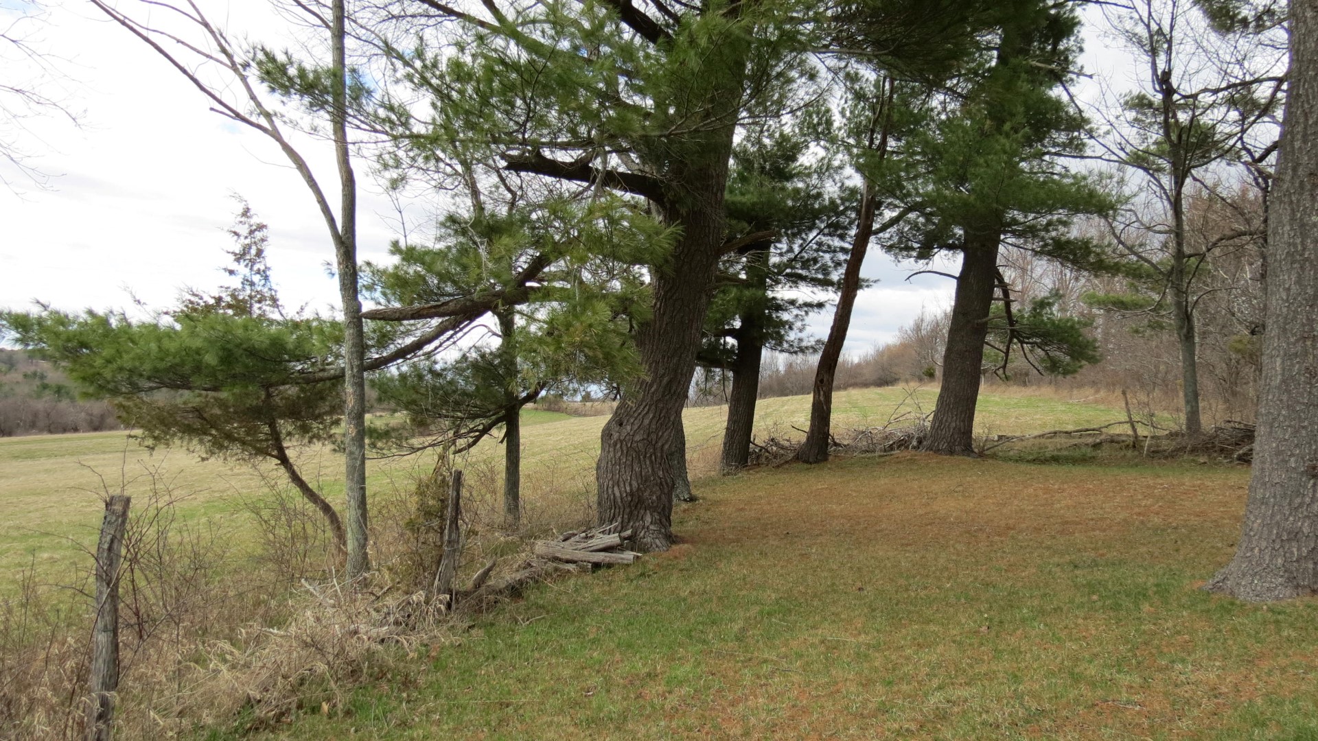 Things immedately adjacent to Sarles Cemetery in Hannacroix NY   7 of 10 (#6518)