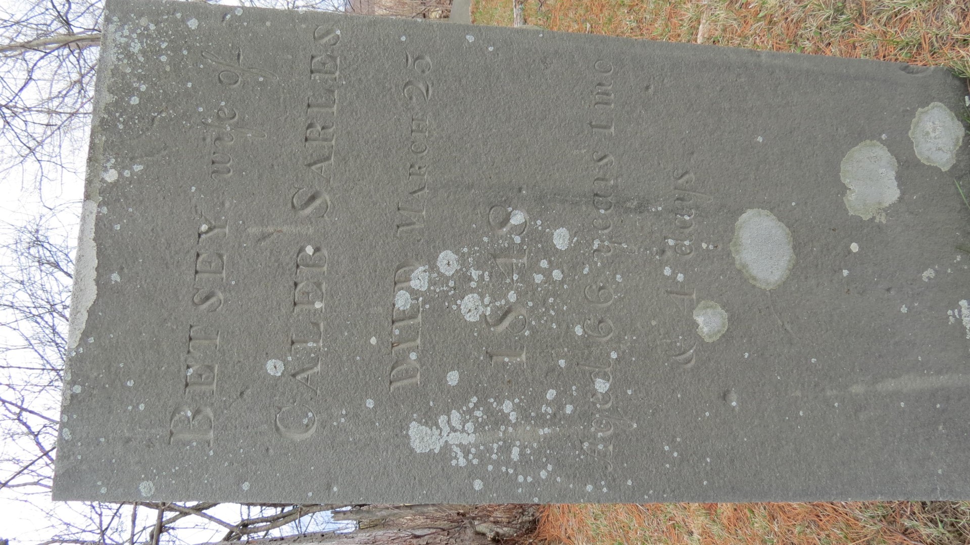 Sarles Cemetery in Hannacroix NY   7 of 8 (#6524)