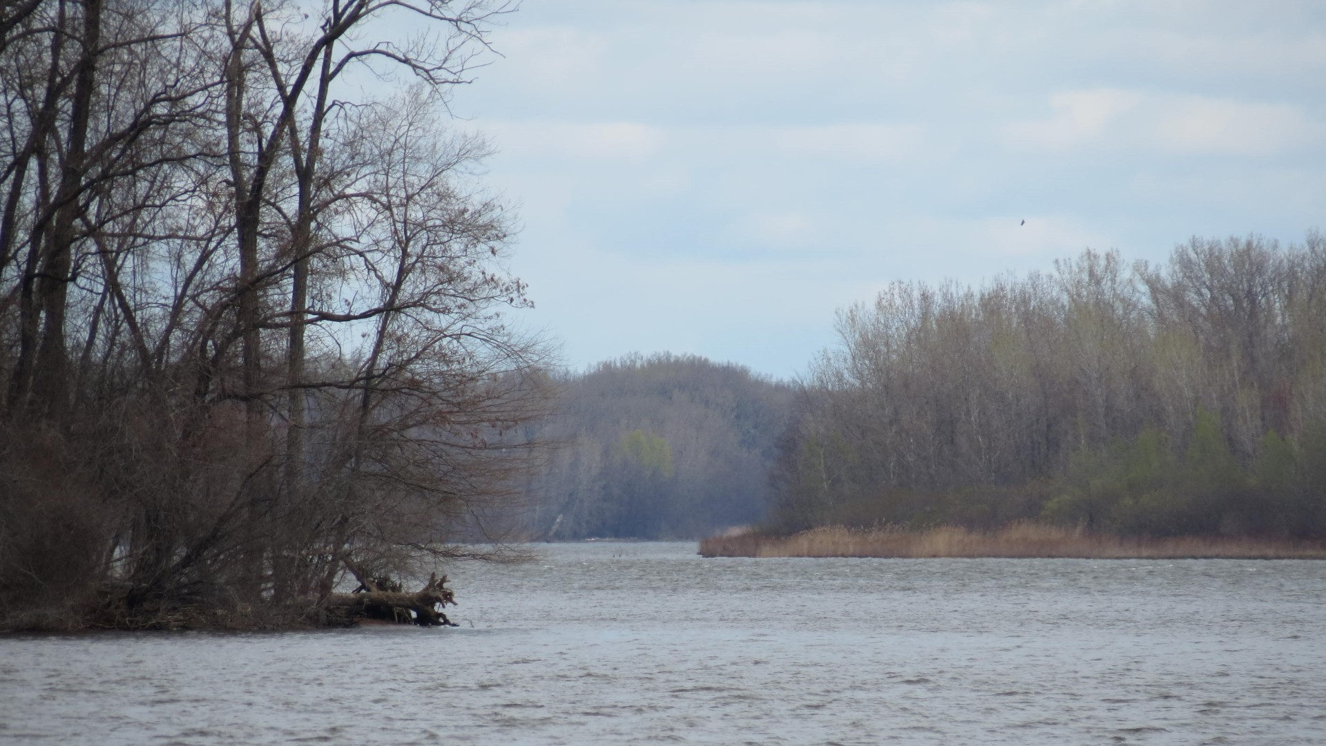 Riverside Park and Hudson River in Coxsackie NY   4 of 9 (#6537)