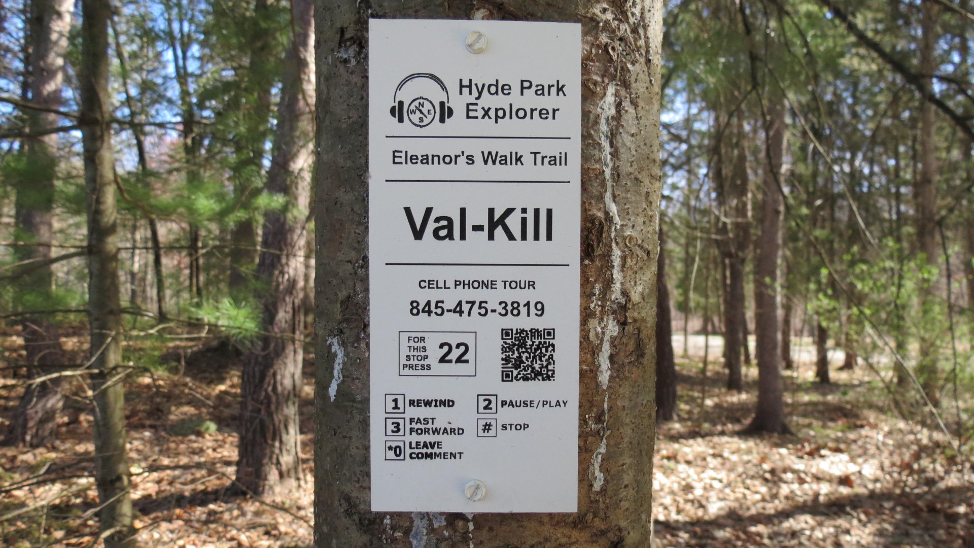 Eleanor Roosevelt Site in Hyde Park NY  2 of 11 (#6549)