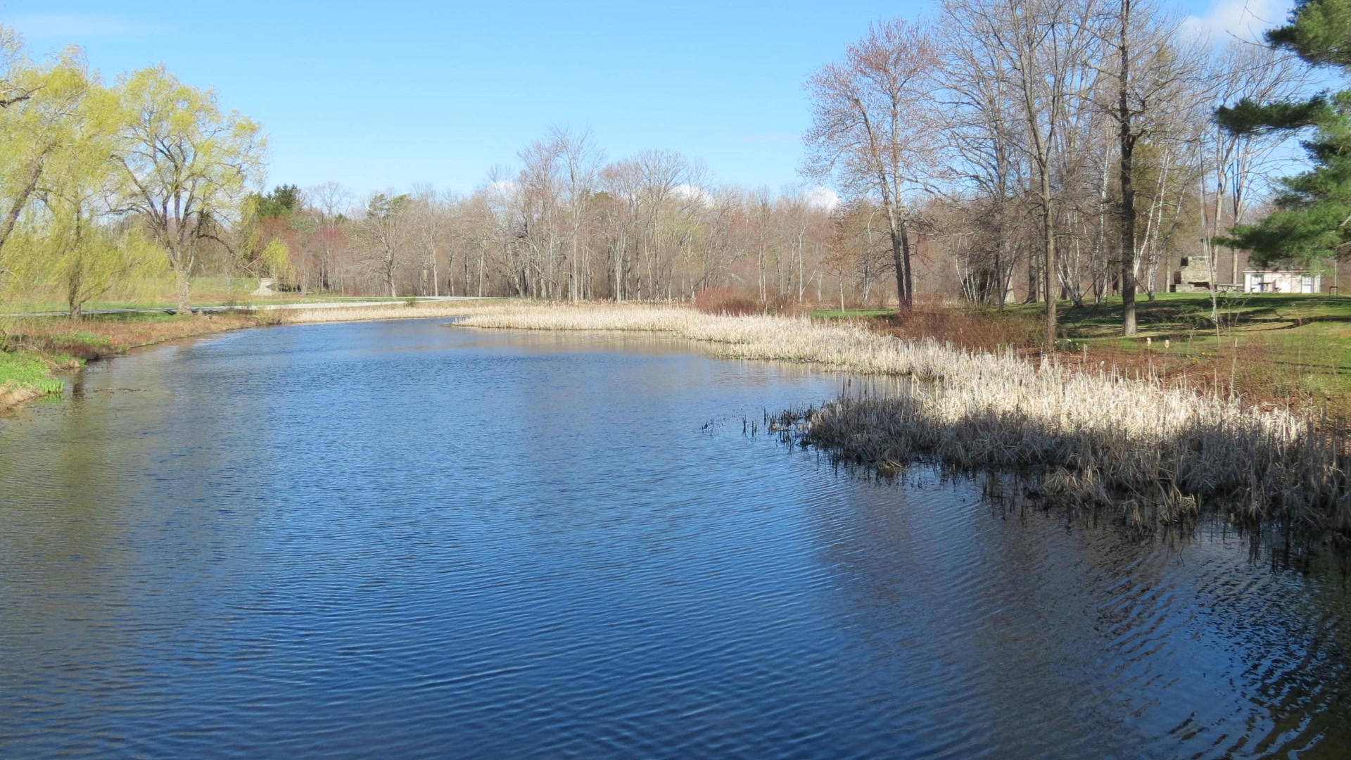 Eleanor Roosevelt Site in Hyde Park NY  7 of 11 (#6554)
