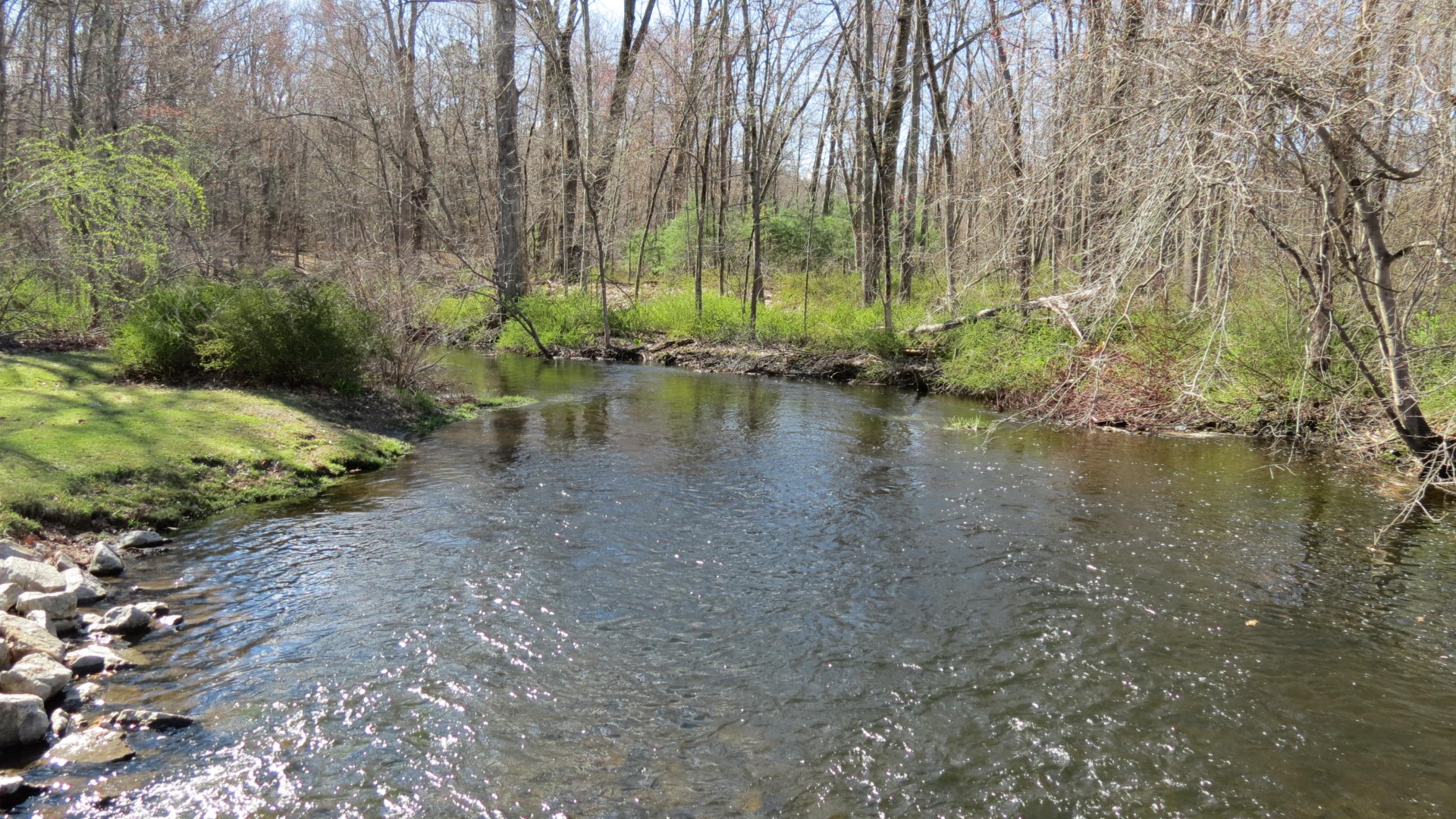 Eleanor Roosevelt Site in Hyde Park NY  8 of 11 (#6555)