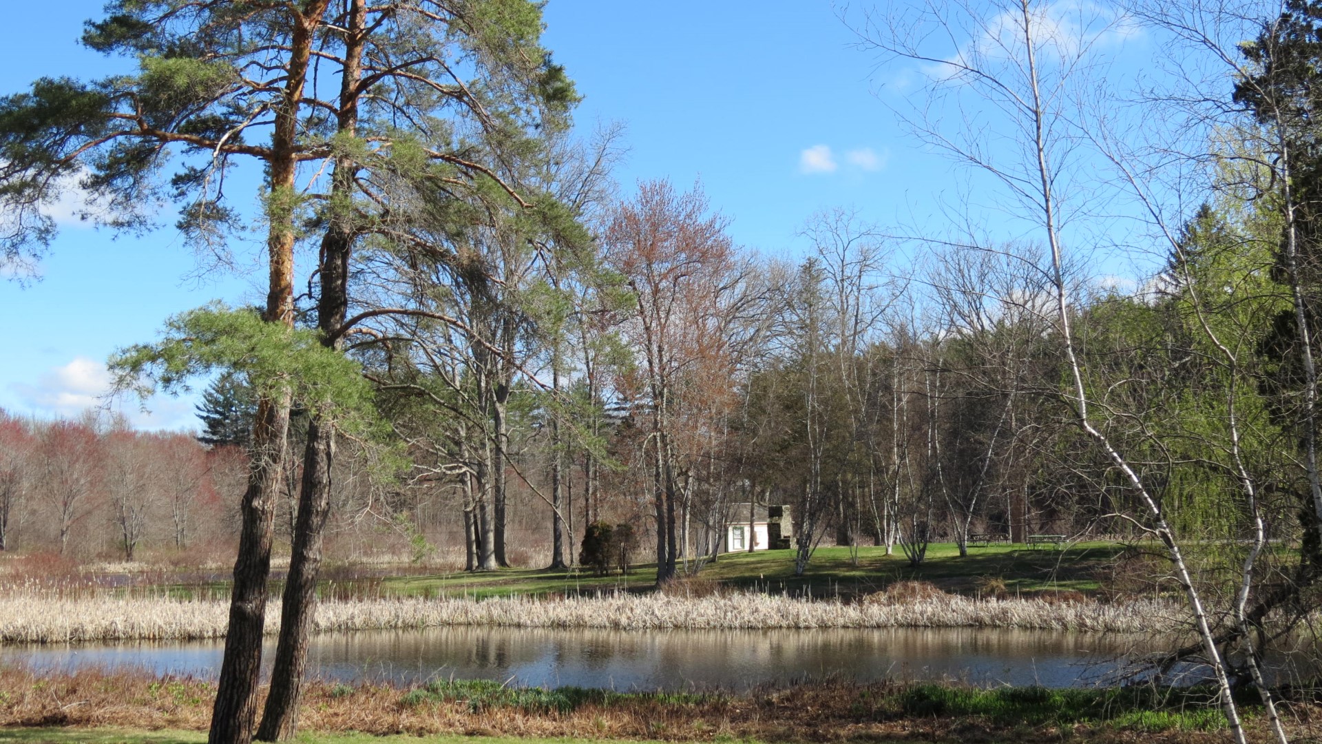 Eleanor Roosevelt Site in Hyde Park NY  9 of 11 (#6556)
