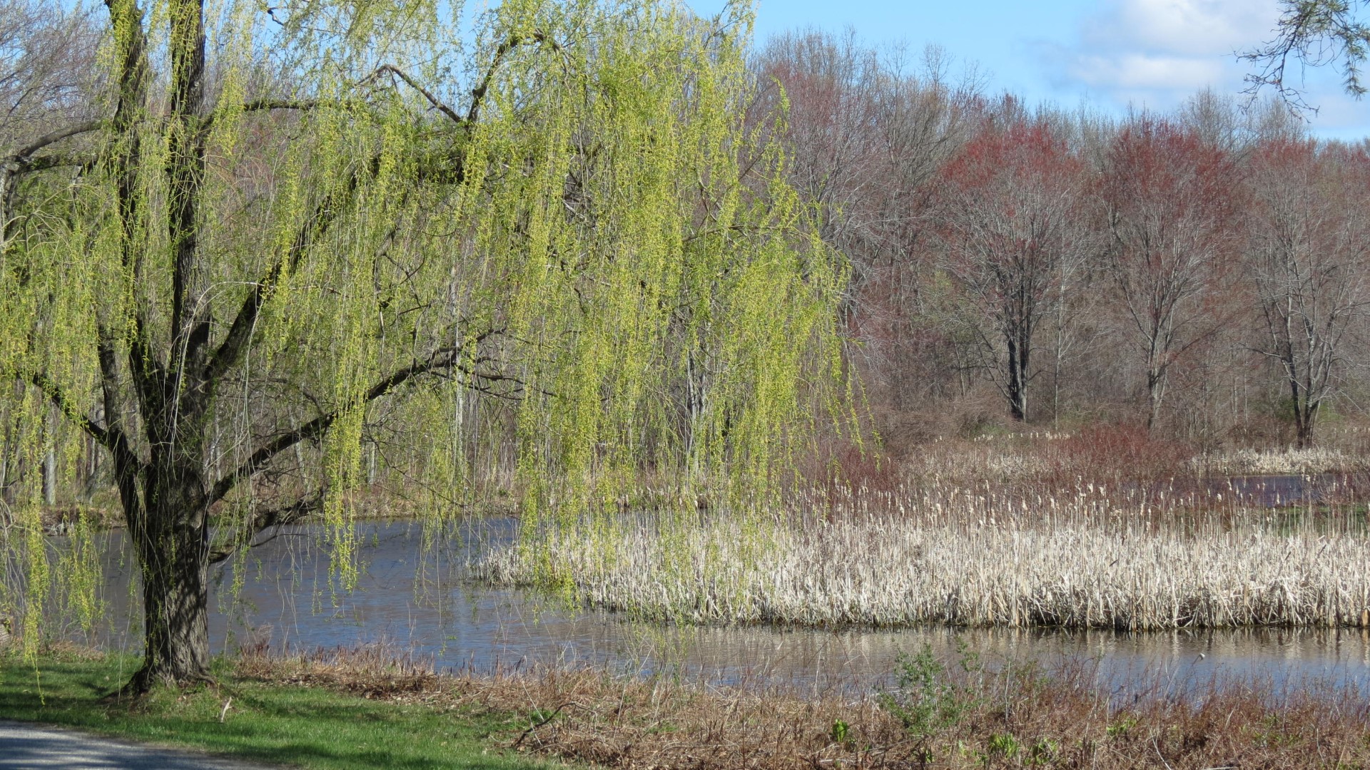 Eleanor Roosevelt Site in Hyde Park NY 10 of 11 (#6557)