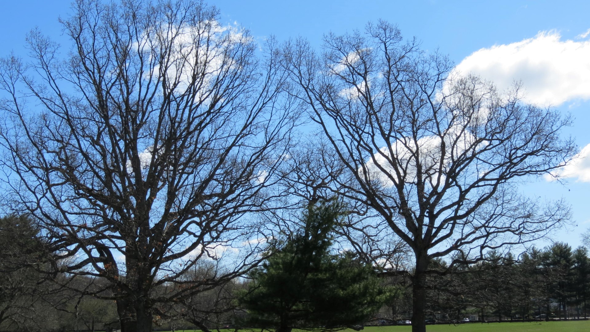 Grounds on President Franklin Roosevelt Home in Hyde Park NY  1 of 8 (#6565)