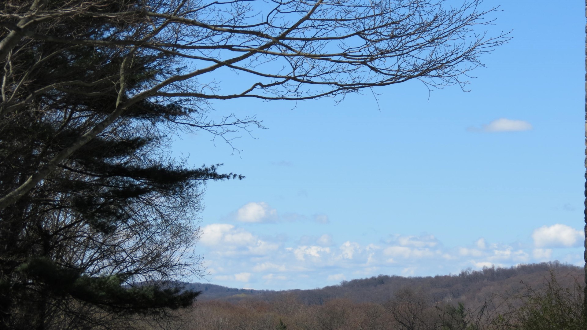 Grounds on President Franklin Roosevelt Home in Hyde Park NY  7 of 8 (#6580)