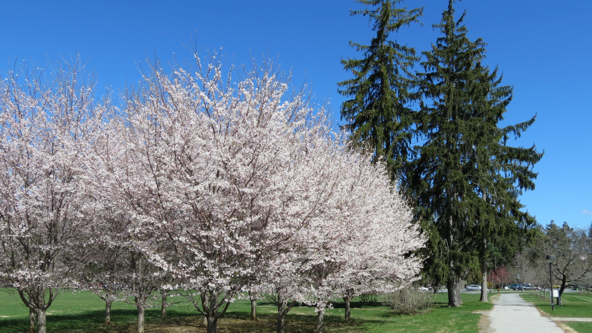 Grounds on President Franklin Roosevelt Home in Hyde Park NY  6 of 8 (#6605)