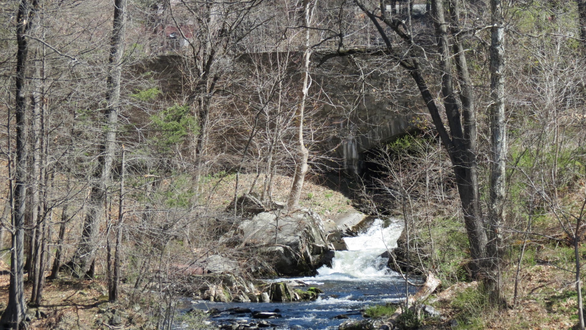 Views around the Vanderbilt Mansion in Hyde Park NY  3 of 10 (#6611)
