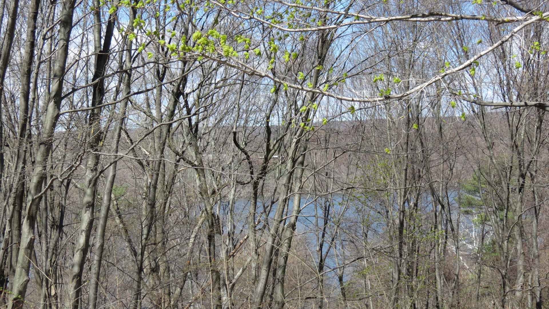 Views around the Vanderbilt Mansion in Hyde Park NY  4 of 10 (#6616)