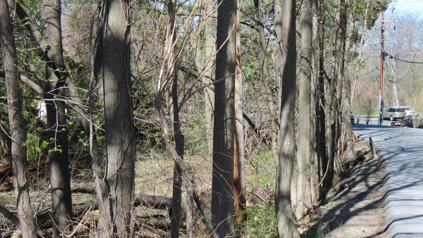 Spring has arrived in Poughkeepsie NY  4 of 8 (#6688)