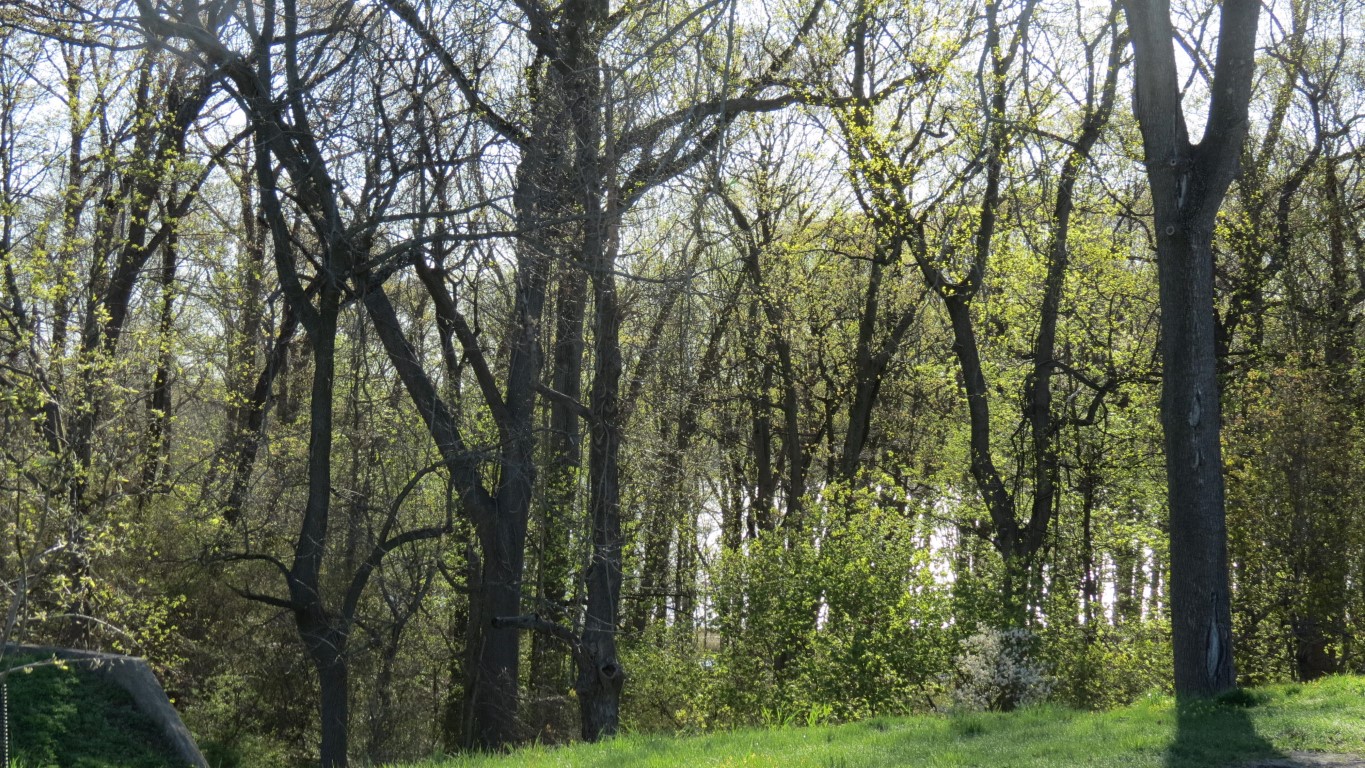 Sagamore HillNational Park on Long Island NY 13 of 23 (#6725)