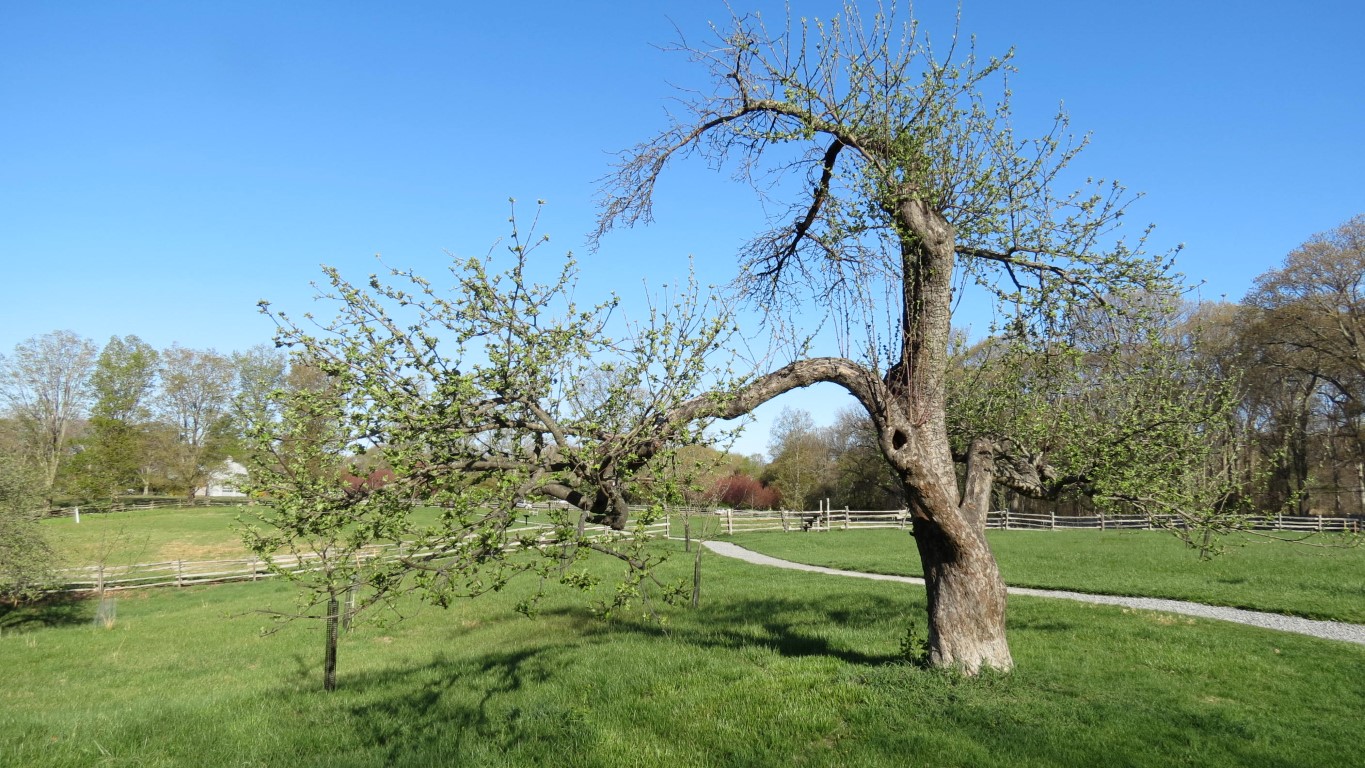 Sagamore HillNational Park on Long Island NY 14 of 23 (#6726)