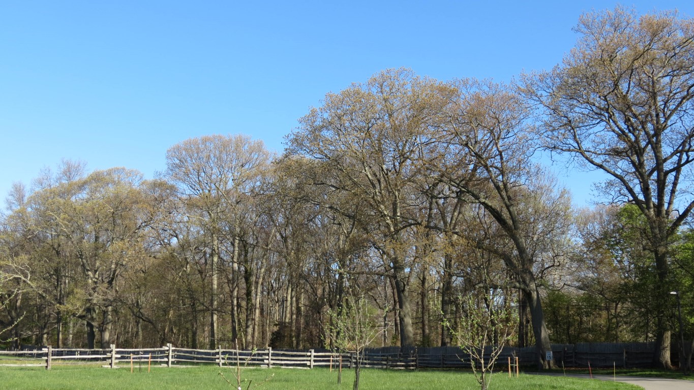 Sagamore HillNational Park on Long Island NY 16 of 23 (#6728)