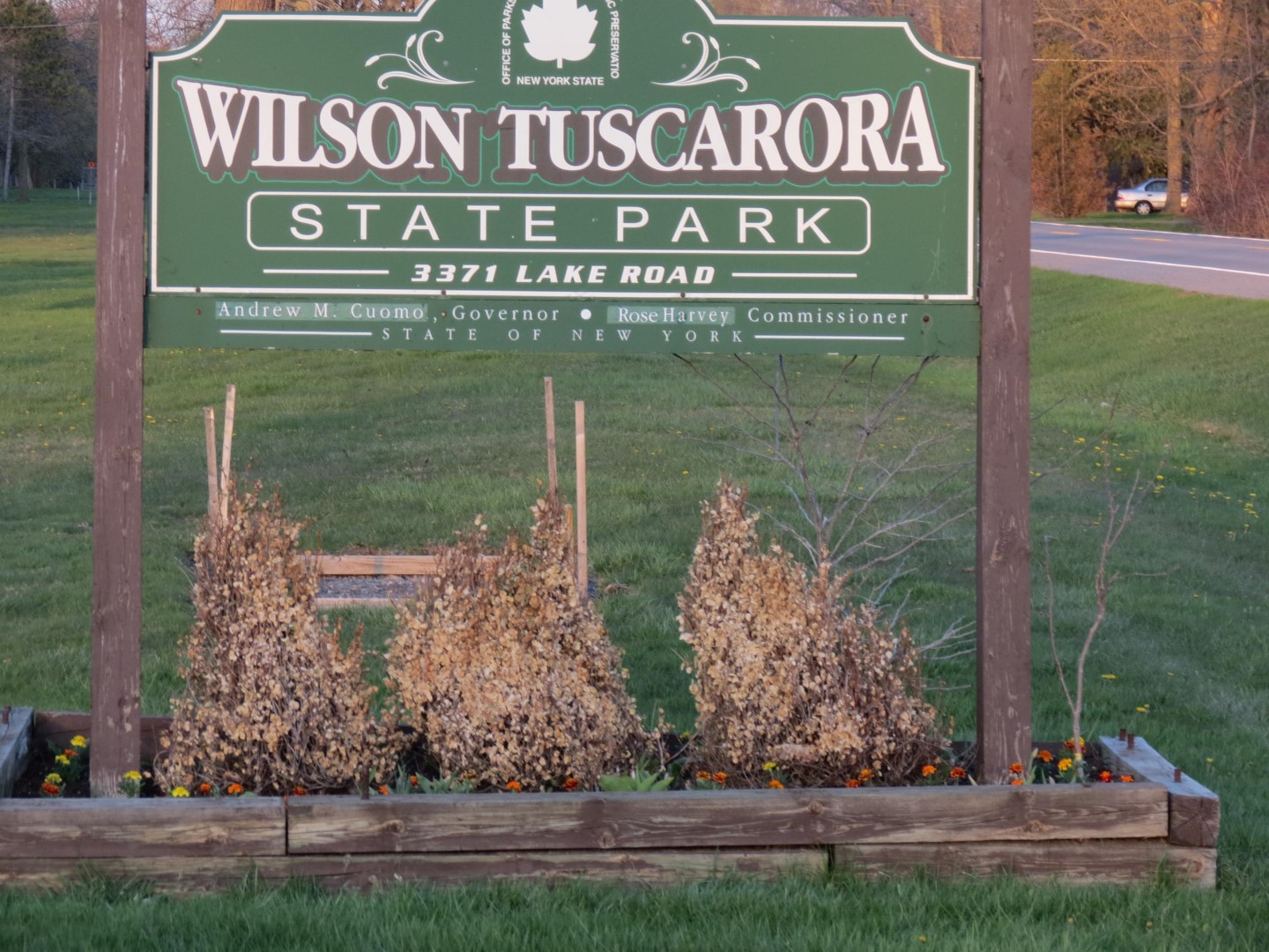 Wilson Tuscarora State Park NY the town  1 of 59 (#6819)