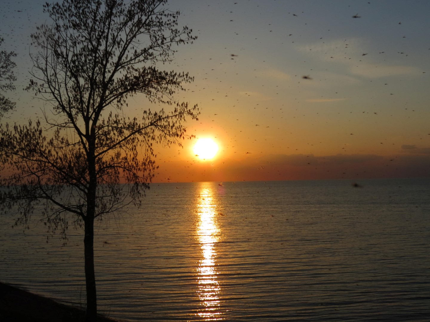 Wilson Tuscarora State Park NY the town  3 of 59 (#6821)