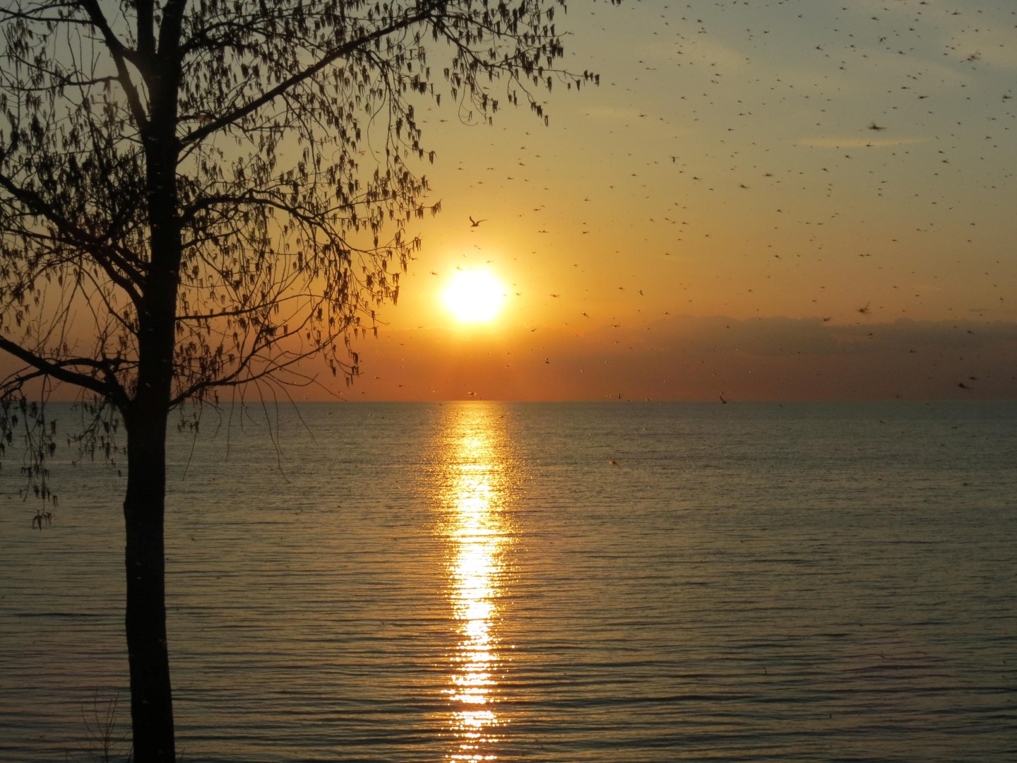 Wilson Tuscarora State Park NY the town  4 of 59 (#6822)