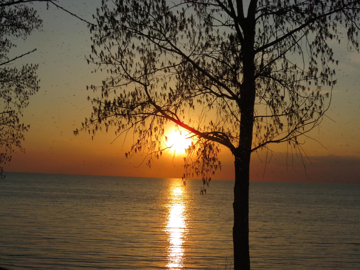 Wilson Tuscarora State Park NY the town  5 of 59 (#6823)