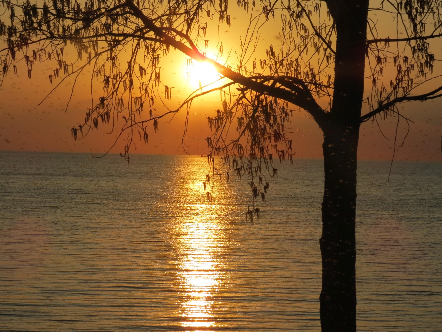 Wilson Tuscarora State Park NY the town  6 of 59 (#6824)