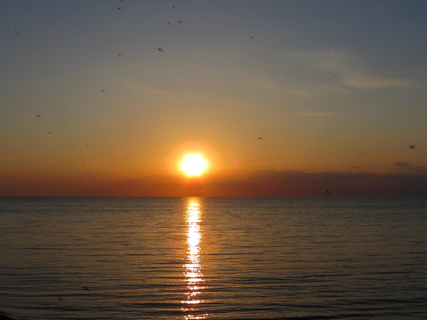 Wilson Tuscarora State Park NY the town  7 of 59 (#6825)