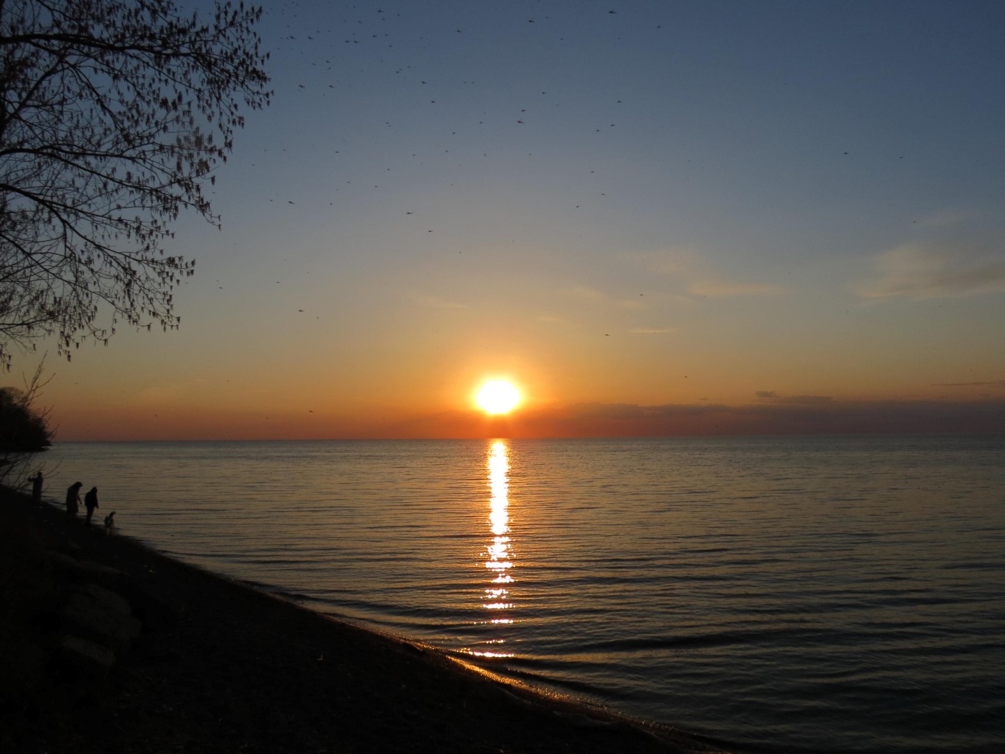 Wilson Tuscarora State Park NY the town  8 of 59 (#6826)