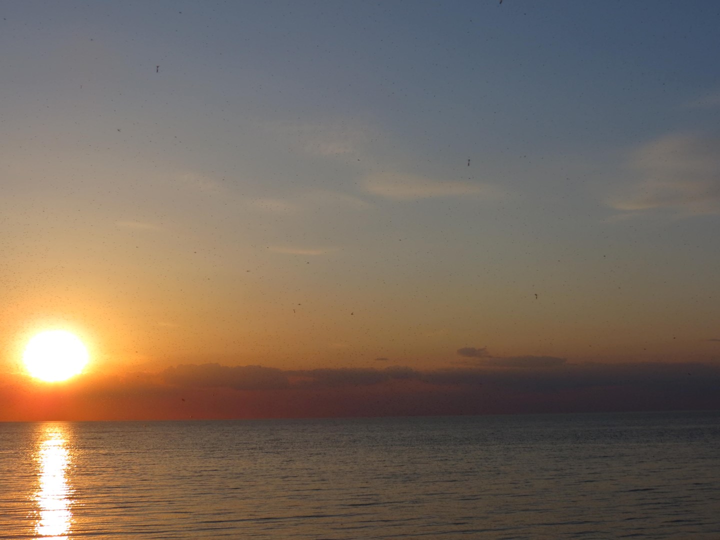 Wilson Tuscarora State Park NY the town 12 of 59 (#6830)