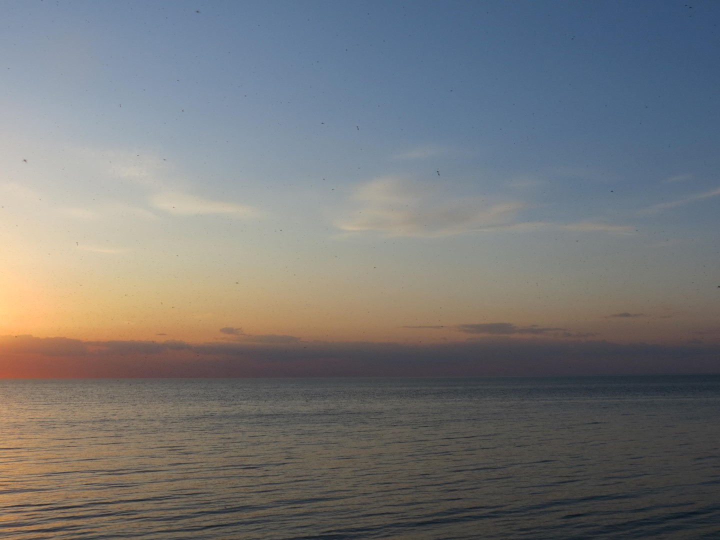 Wilson Tuscarora State Park NY the town 13 of 59 (#6831)