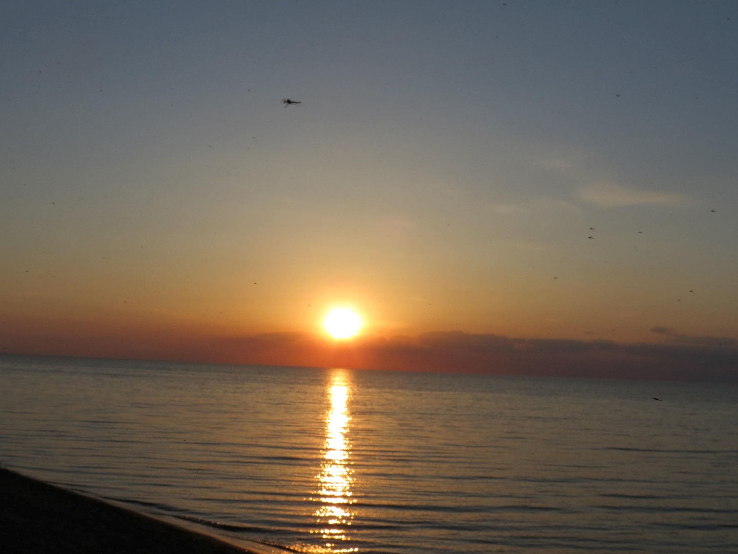 Wilson Tuscarora State Park NY the town 15 of 59 (#6833)