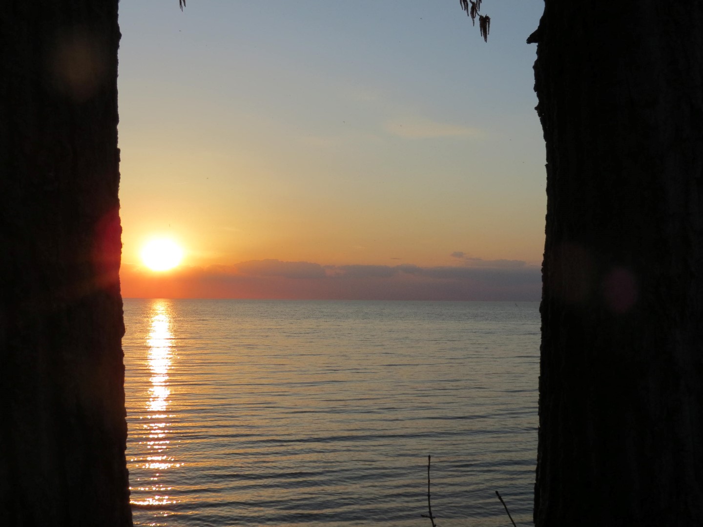 Wilson Tuscarora State Park NY the town 16 of 59 (#6834)