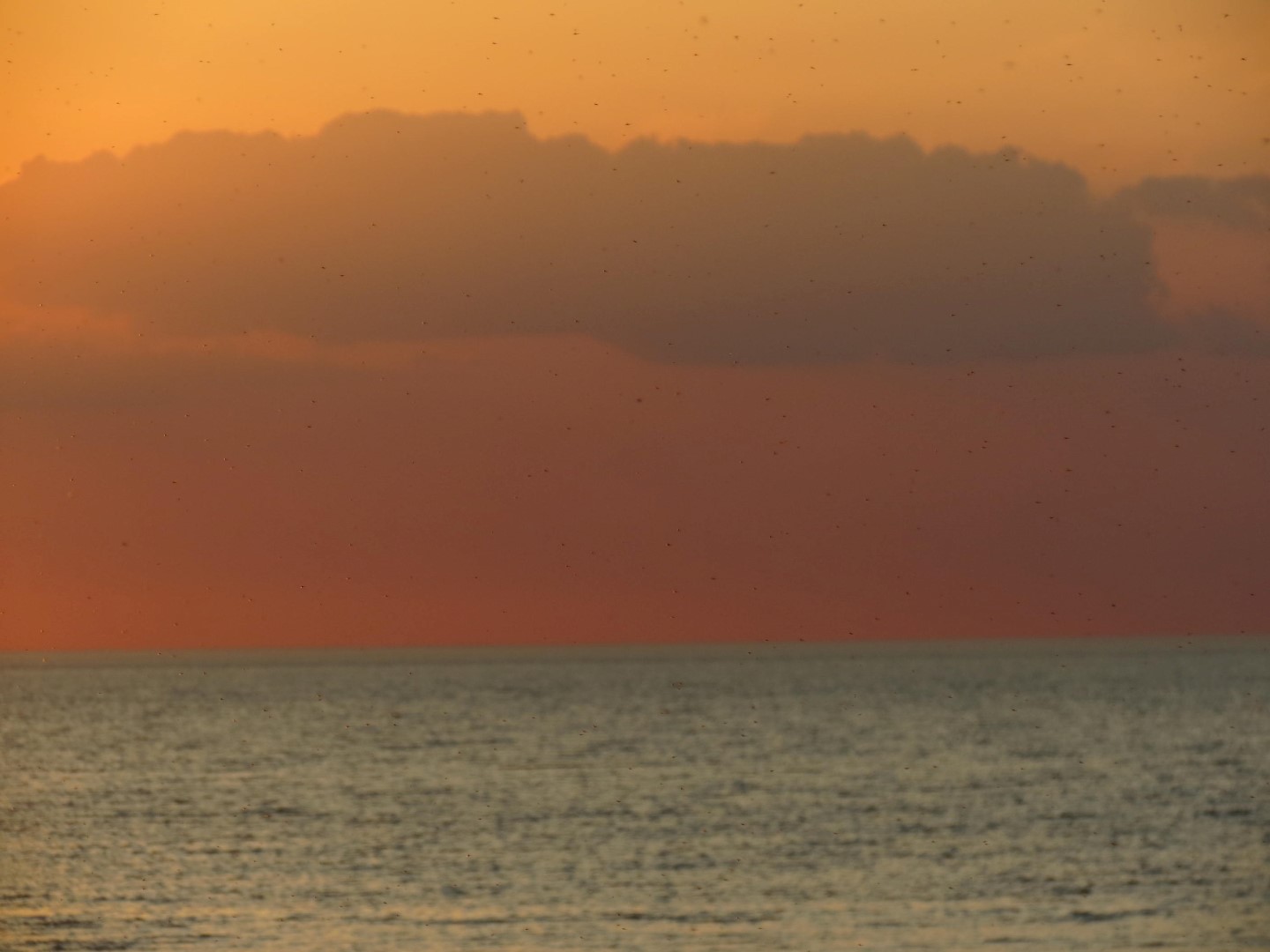 Wilson Tuscarora State Park NY the town 18 of 59 (#6836)