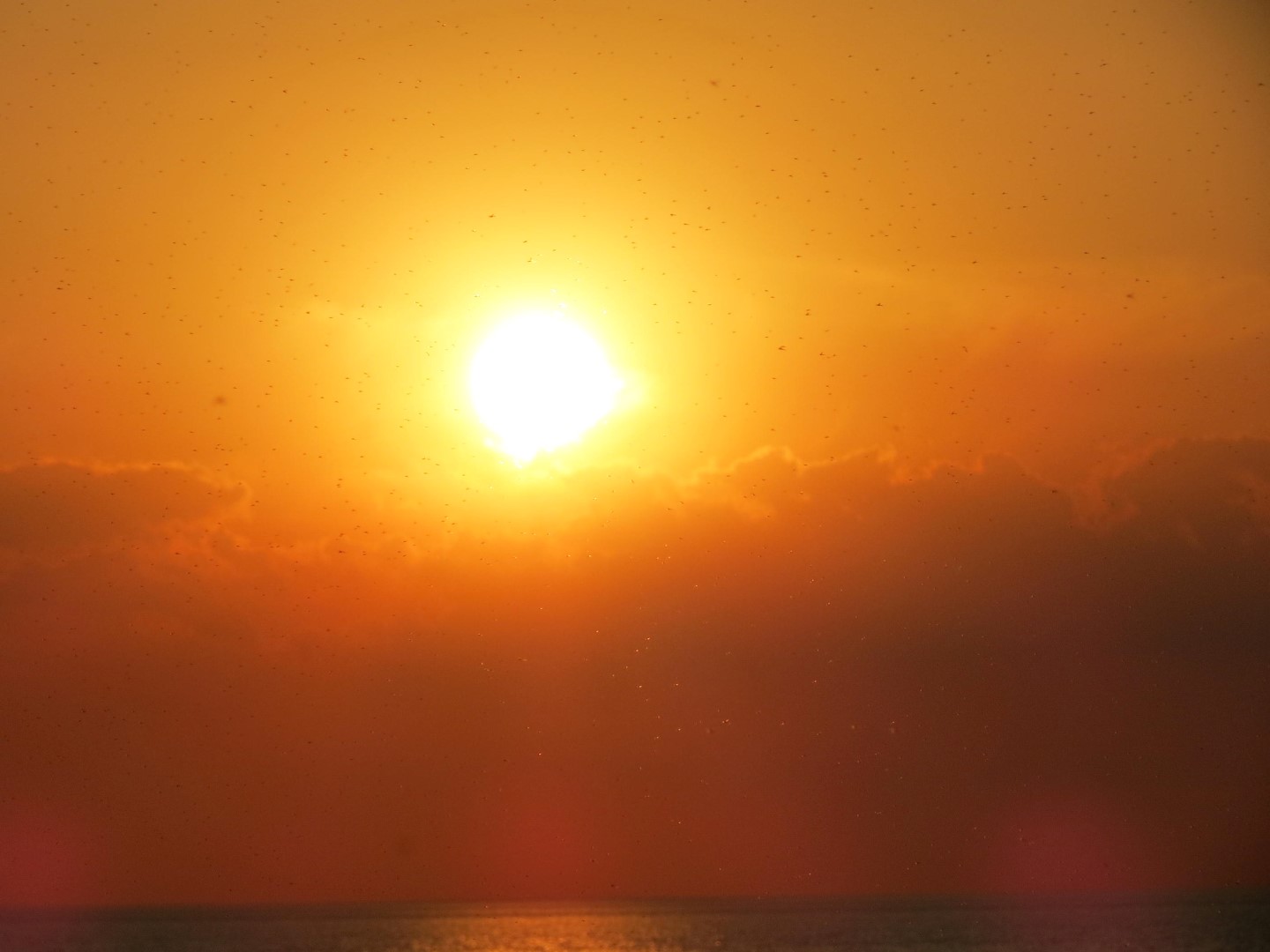 Wilson Tuscarora State Park NY the town 19 of 59 (#6837)