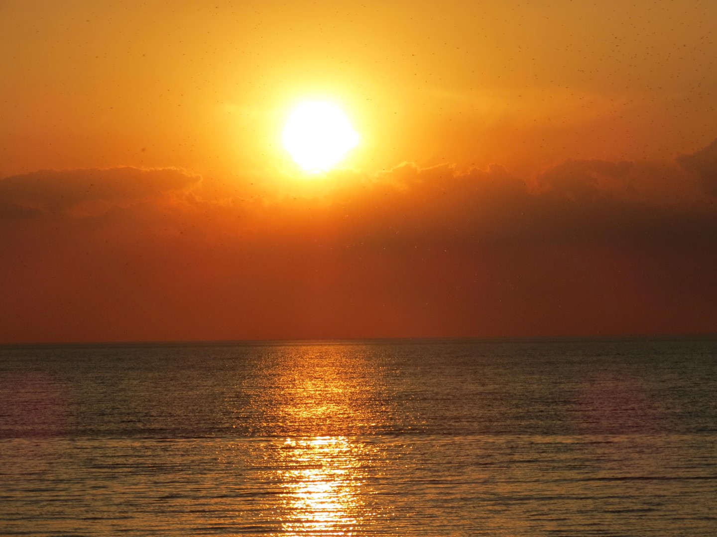 Wilson Tuscarora State Park NY the town 20 of 59 (#6838)