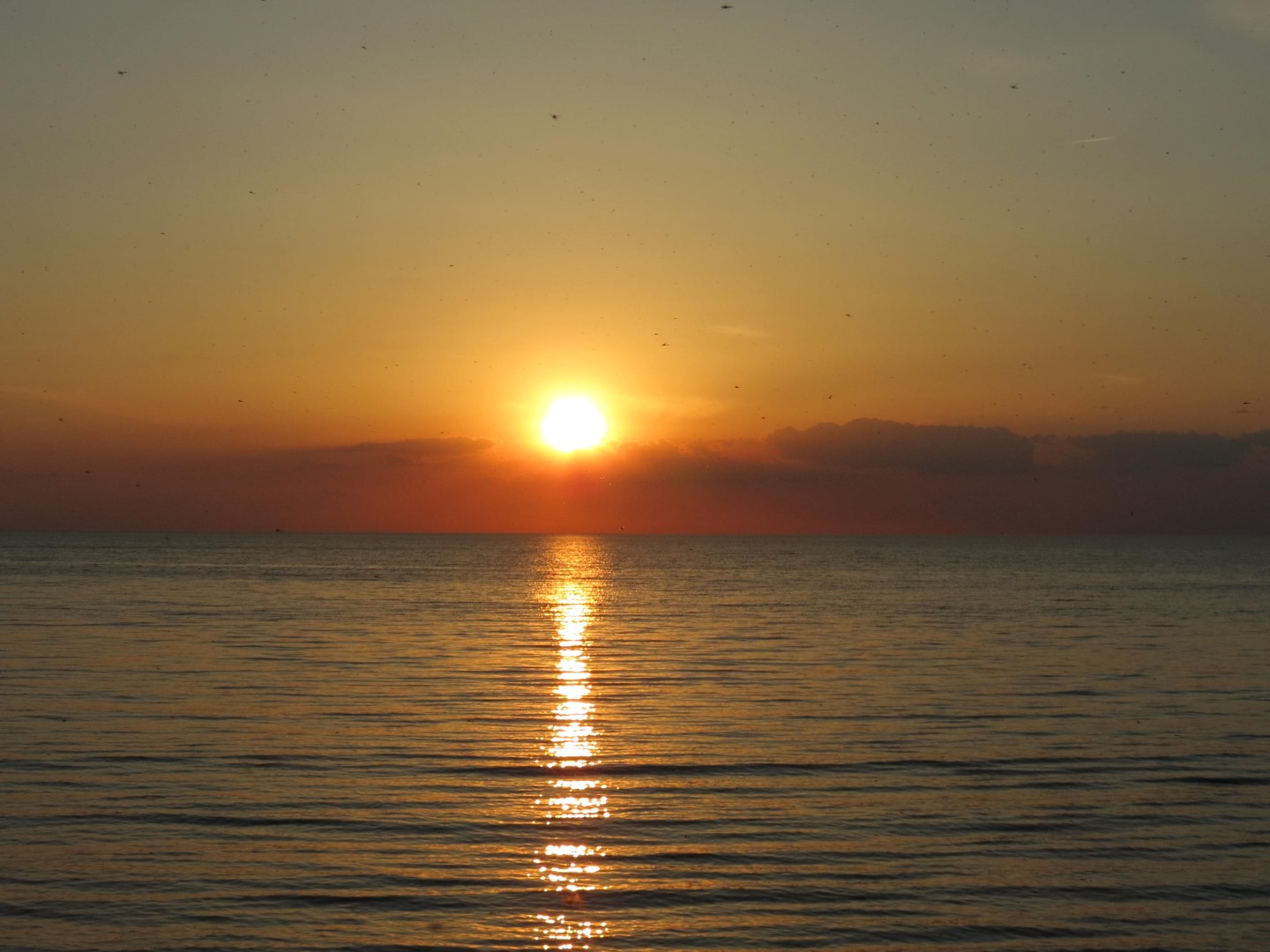 Wilson Tuscarora State Park NY the town 22 of 59 (#6840)