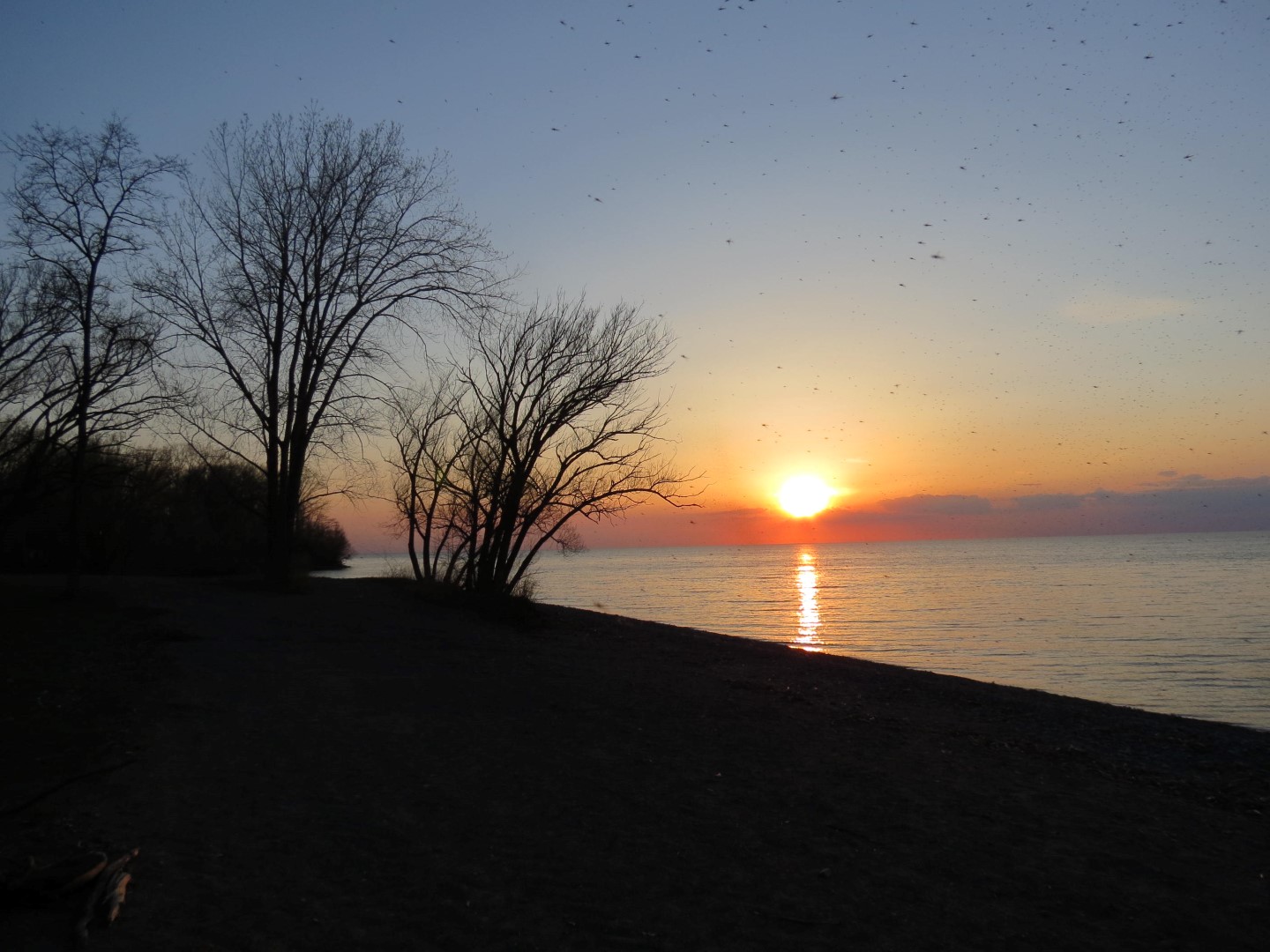 Wilson Tuscarora State Park NY the town 23 of 59 (#6841)