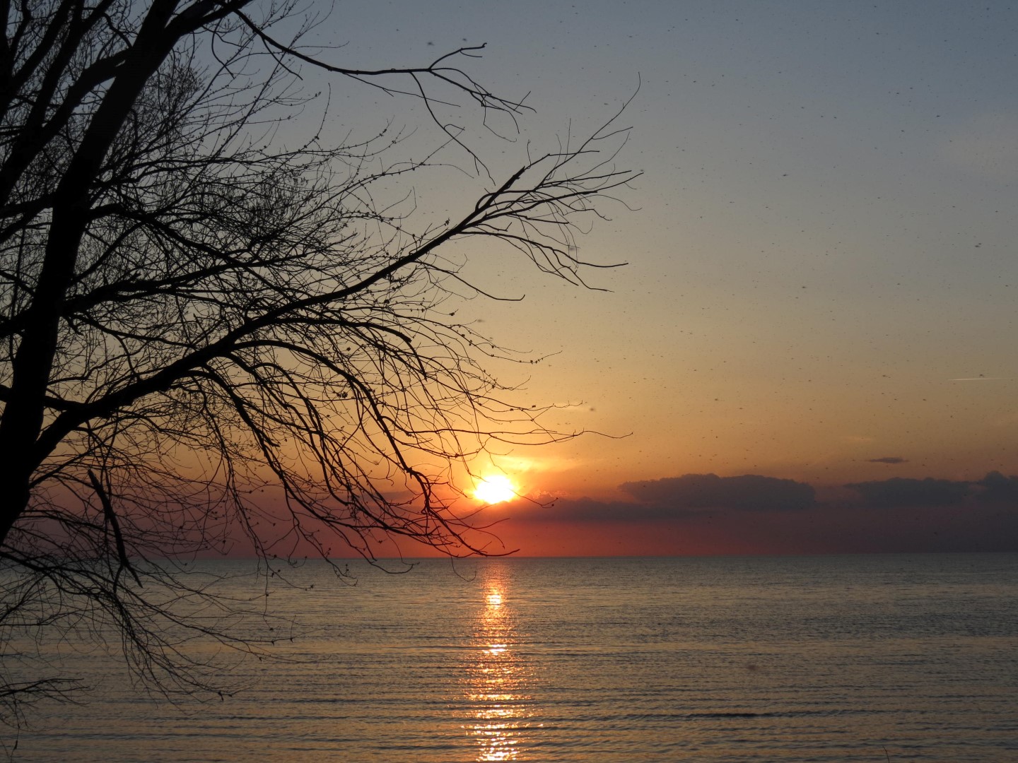 Wilson Tuscarora State Park NY the town 26 of 59 (#6844)