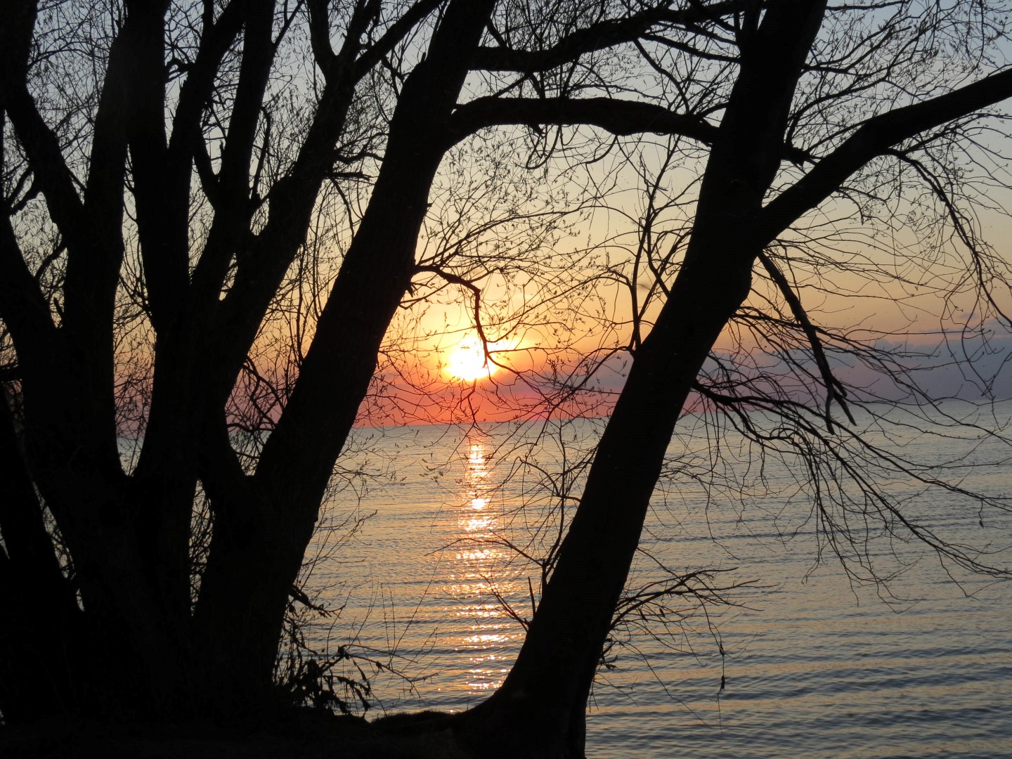 Wilson Tuscarora State Park NY the town 27 of 59 (#6845)