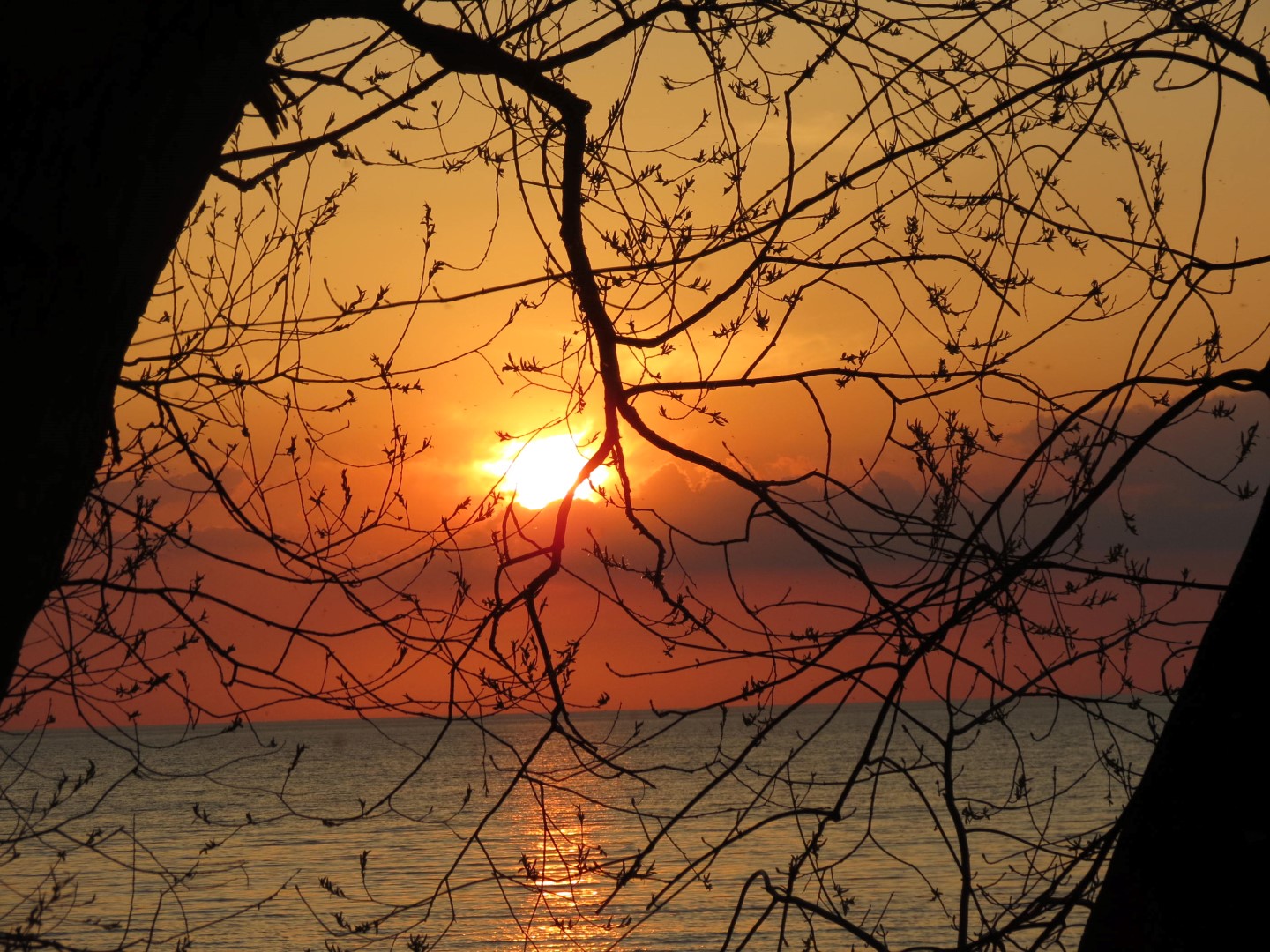 Wilson Tuscarora State Park NY the town 28 of 59 (#6846)