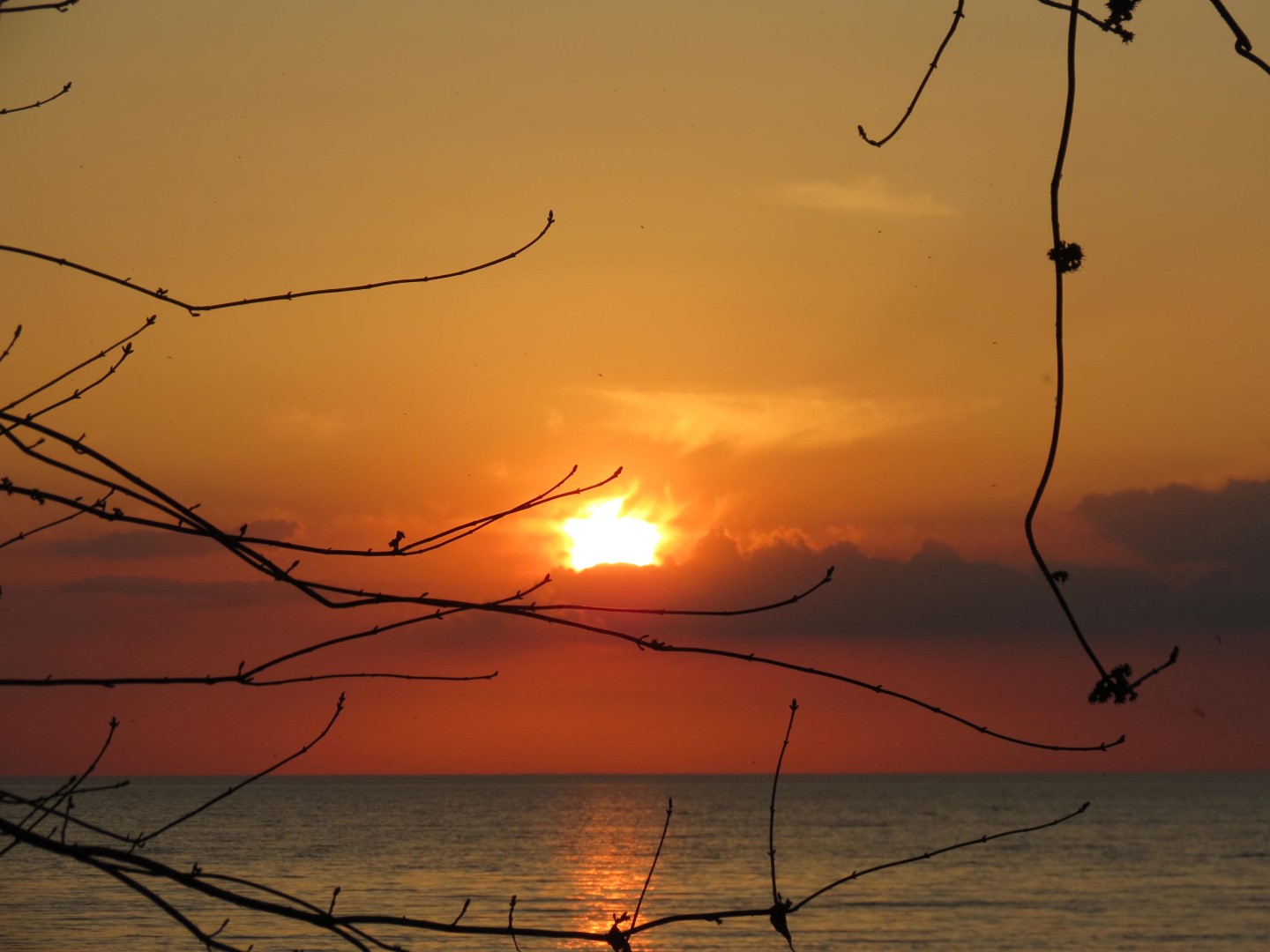 Wilson Tuscarora State Park NY the town 29 of 59 (#6847)