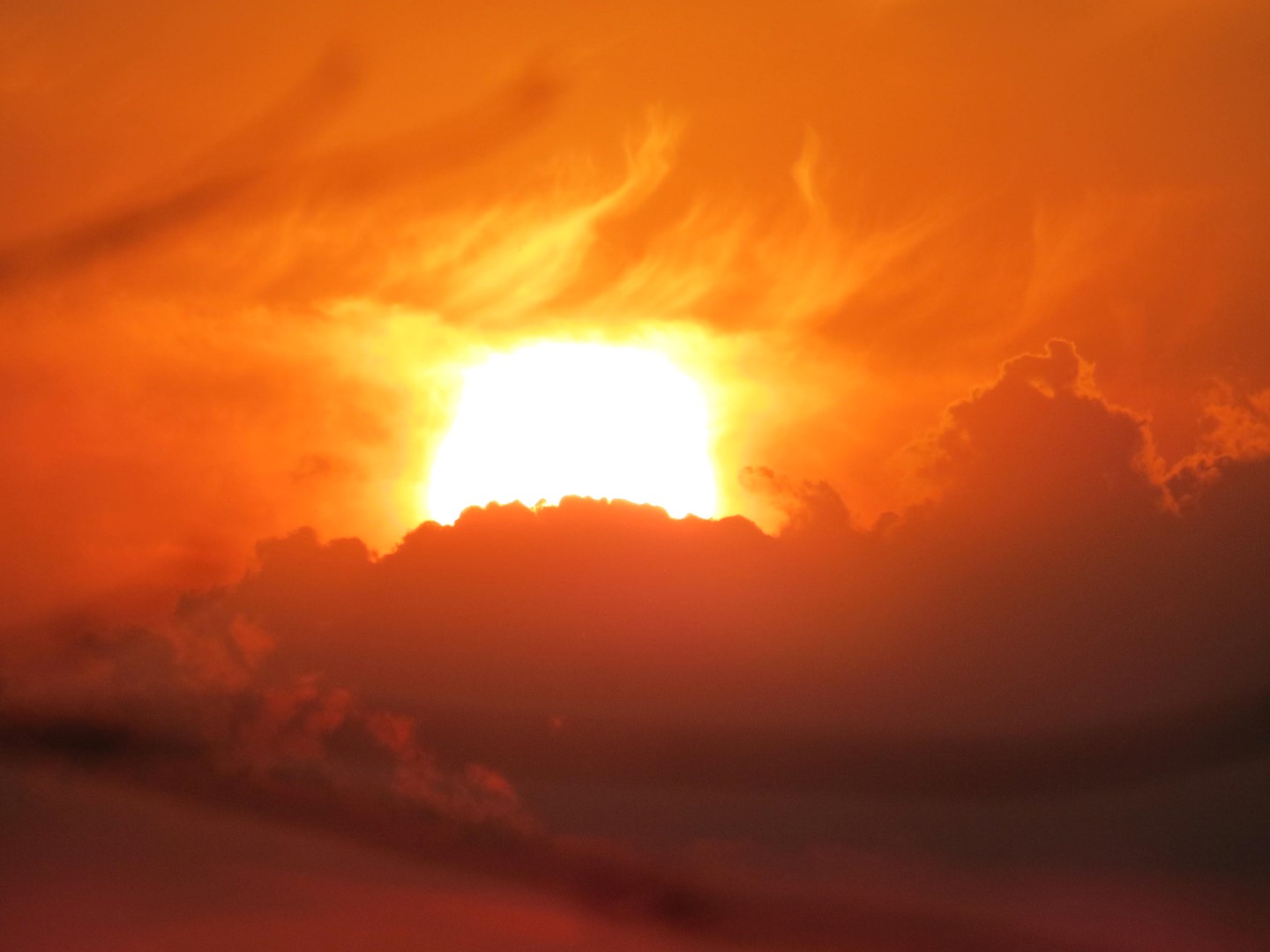 Wilson Tuscarora State Park NY the town 30 of 59 (#6848)