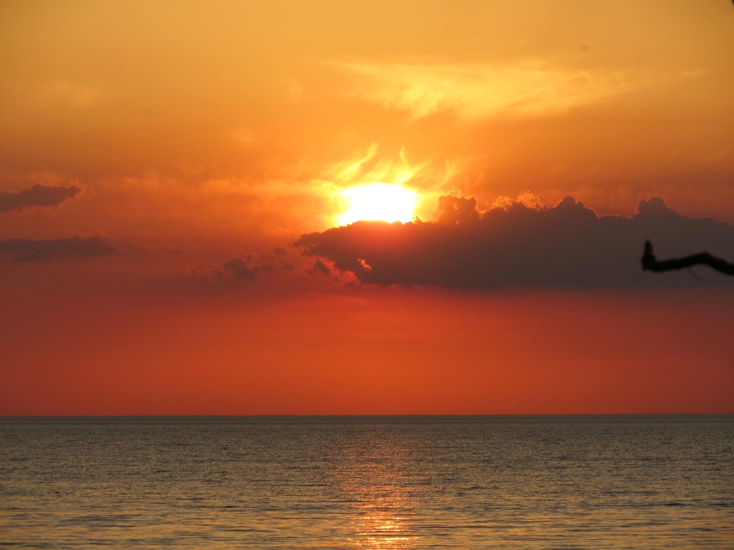 Wilson Tuscarora State Park NY the town 32 of 59 (#6850)