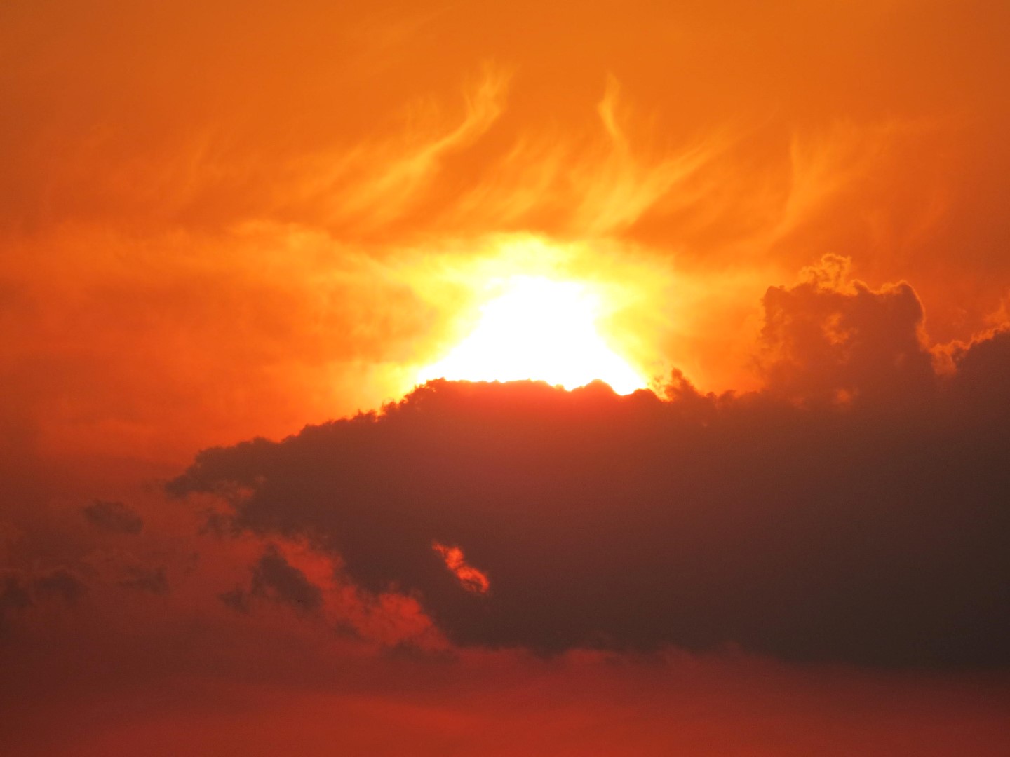 Wilson Tuscarora State Park NY the town 33 of 59 (#6851)