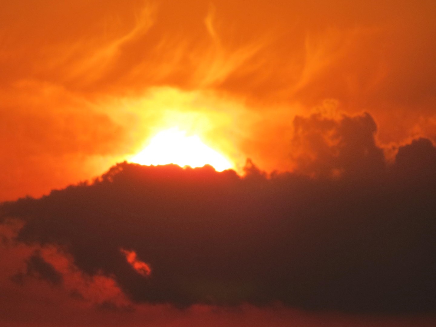 Wilson Tuscarora State Park NY the town 34 of 59 (#6852)