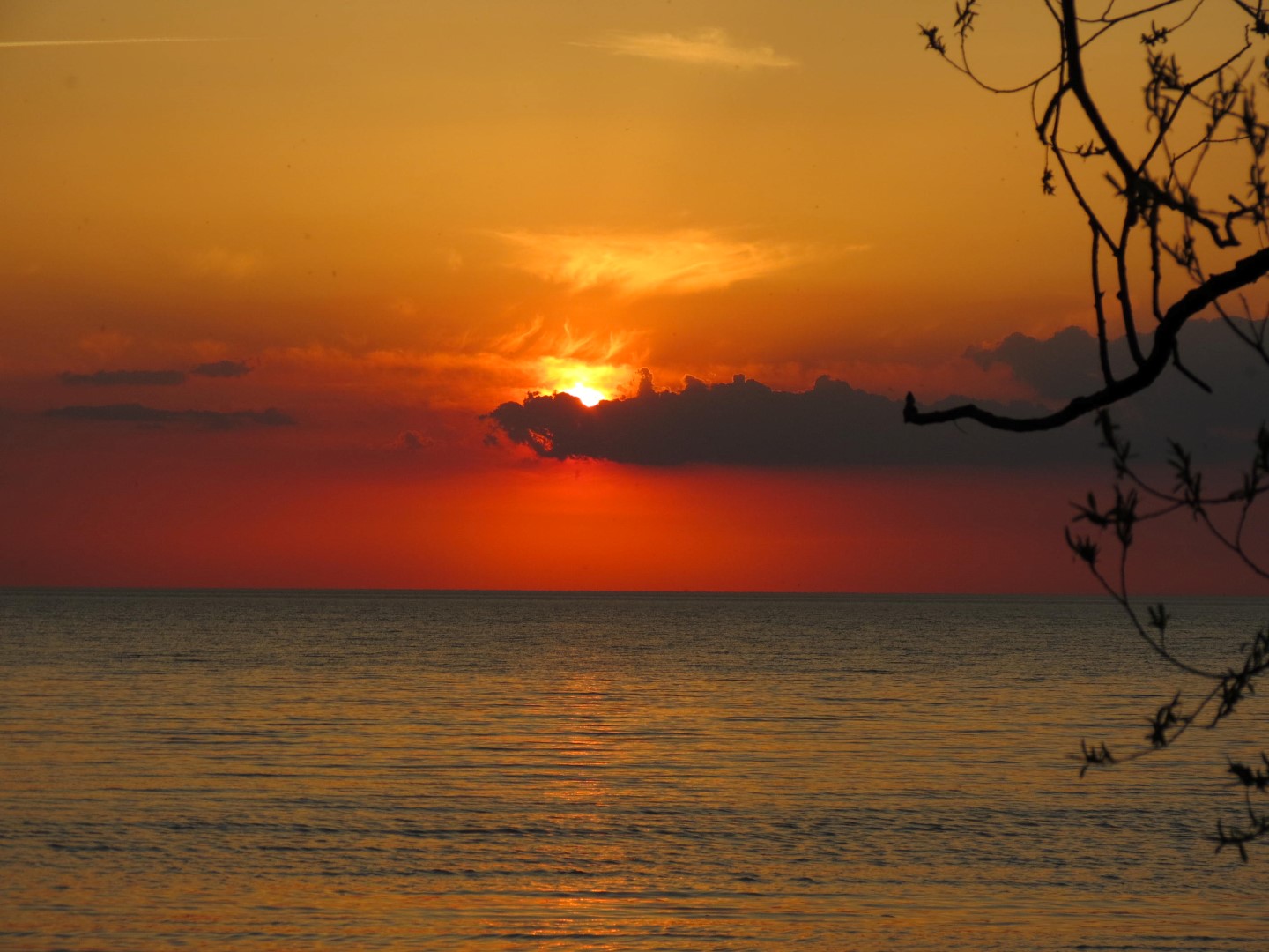 Wilson Tuscarora State Park NY the town 40 of 59 (#6858)