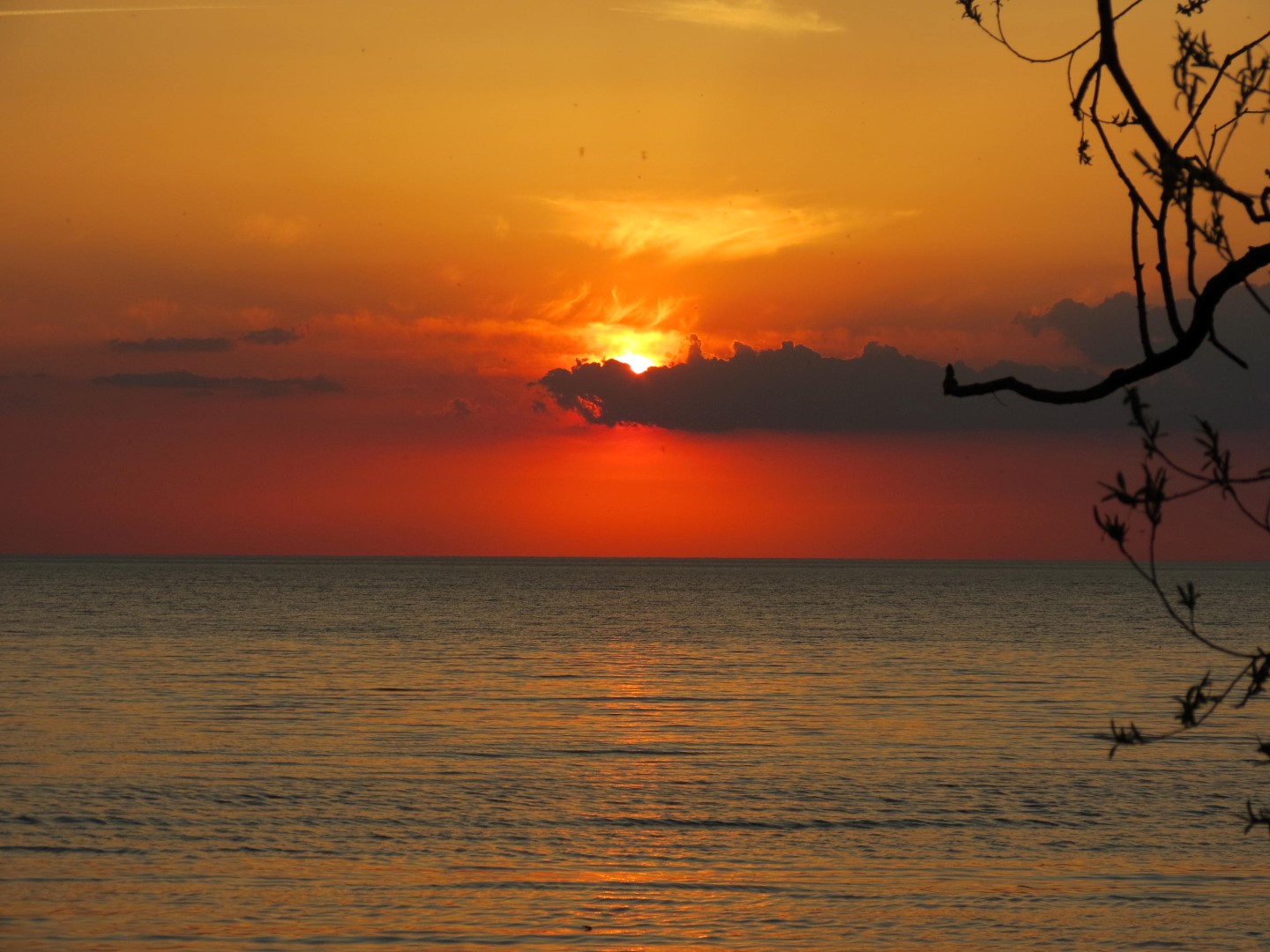 Wilson Tuscarora State Park NY the town 41 of 59 (#6859)