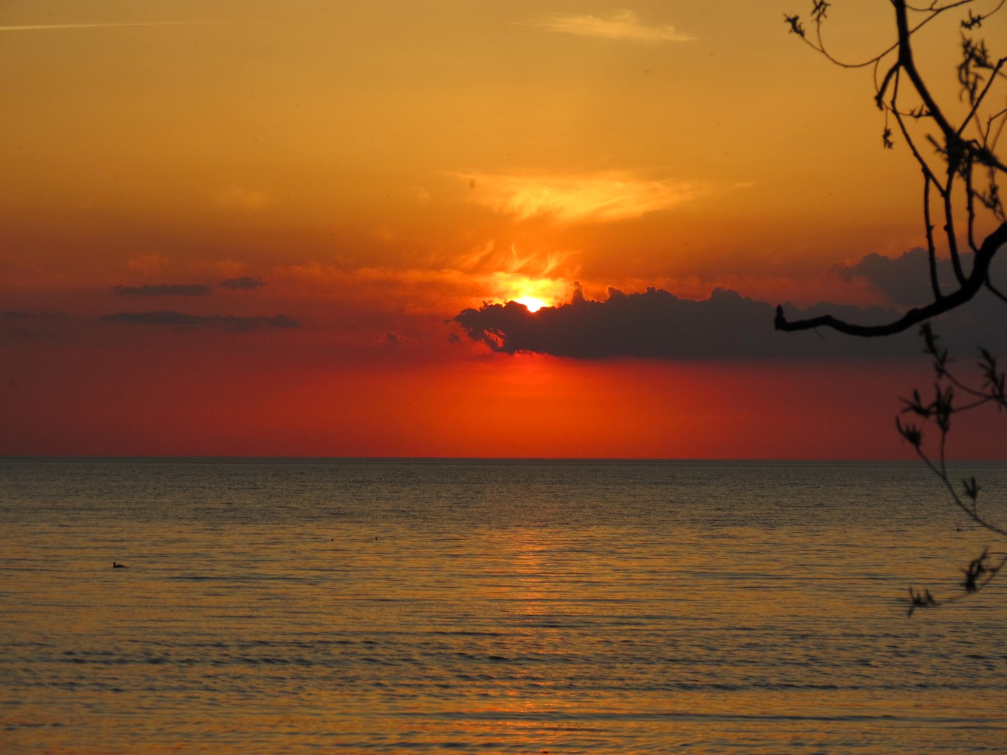 Wilson Tuscarora State Park NY the town 42 of 59 (#6860)